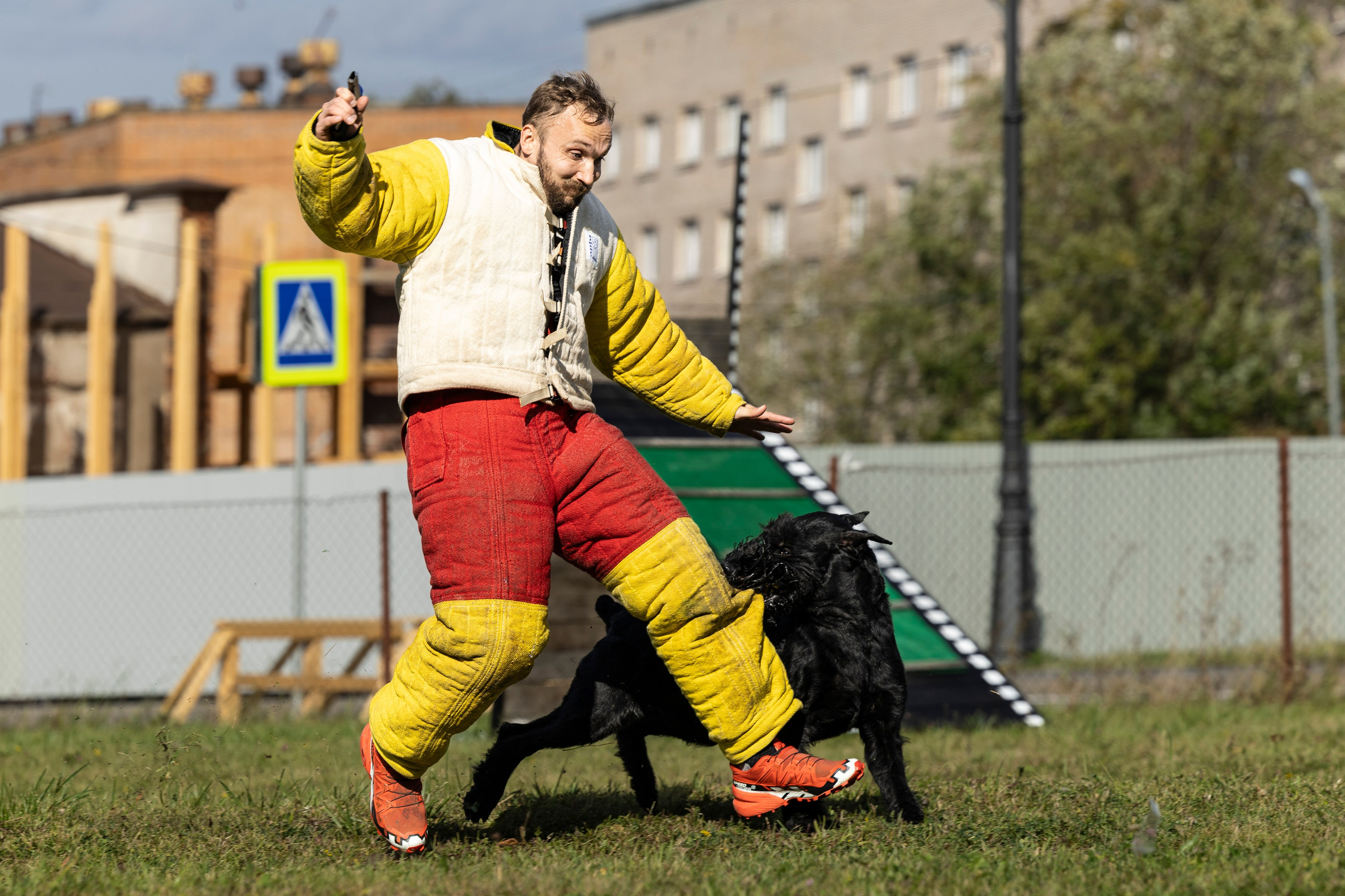 Испытания по Мондьорингу г. Пушкин. Фотограф-анималист Анна Маринич
