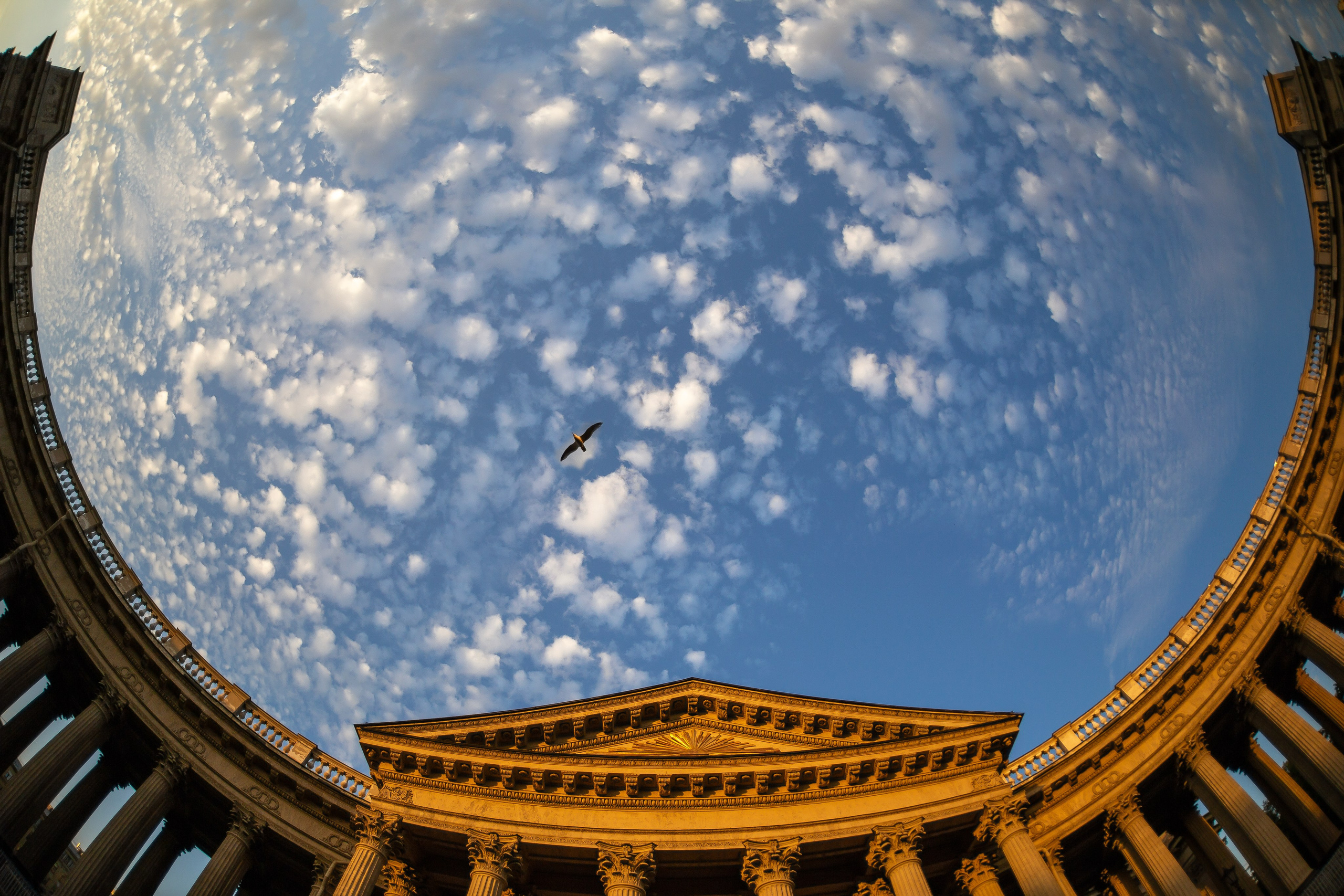 Макс По — фото и видео съемки любого формата