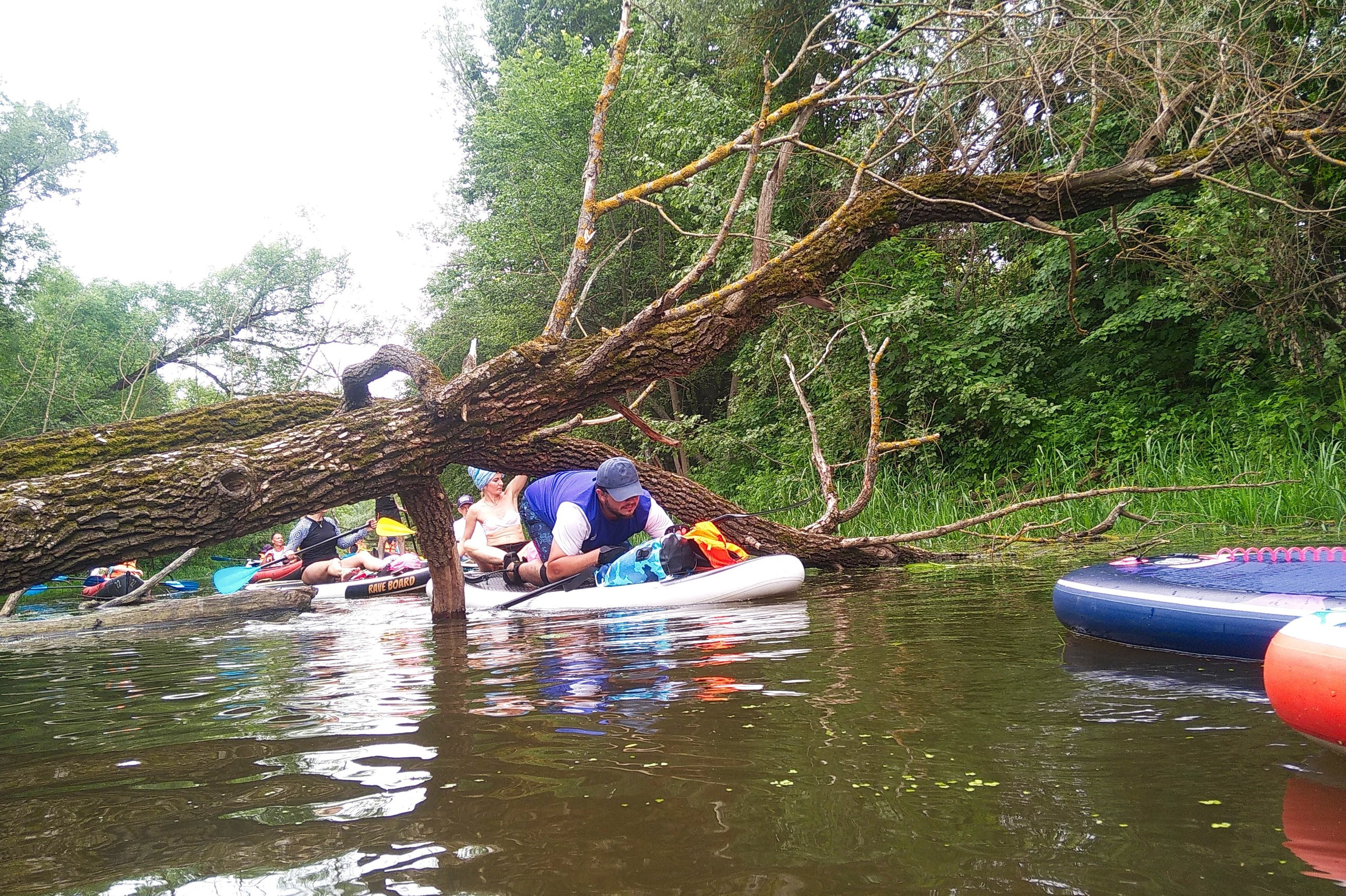 Сплав на сапах | 16.06.2024. Галерея Фантим