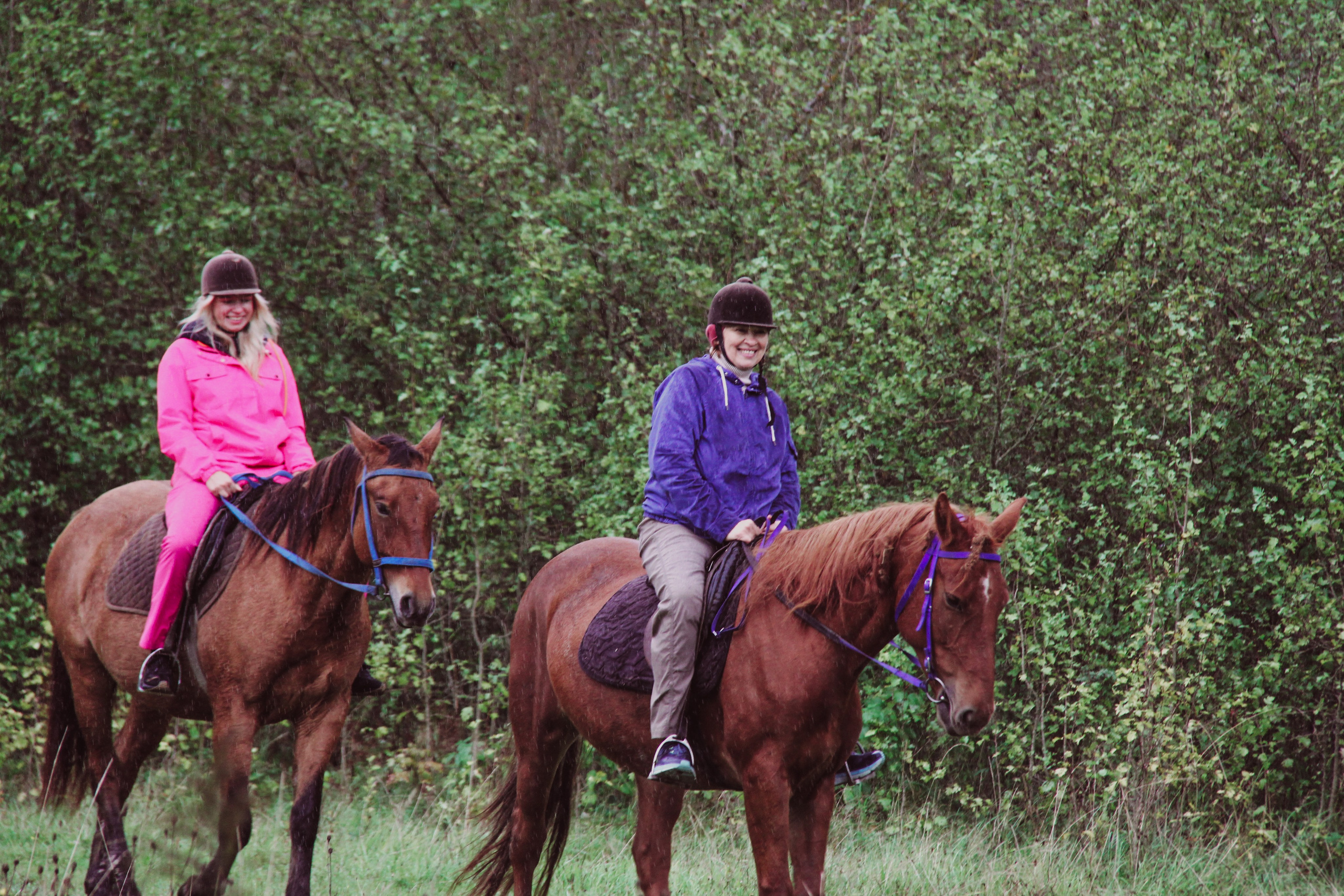 Лошадинг | 27.09.2025. Галерея Фантим