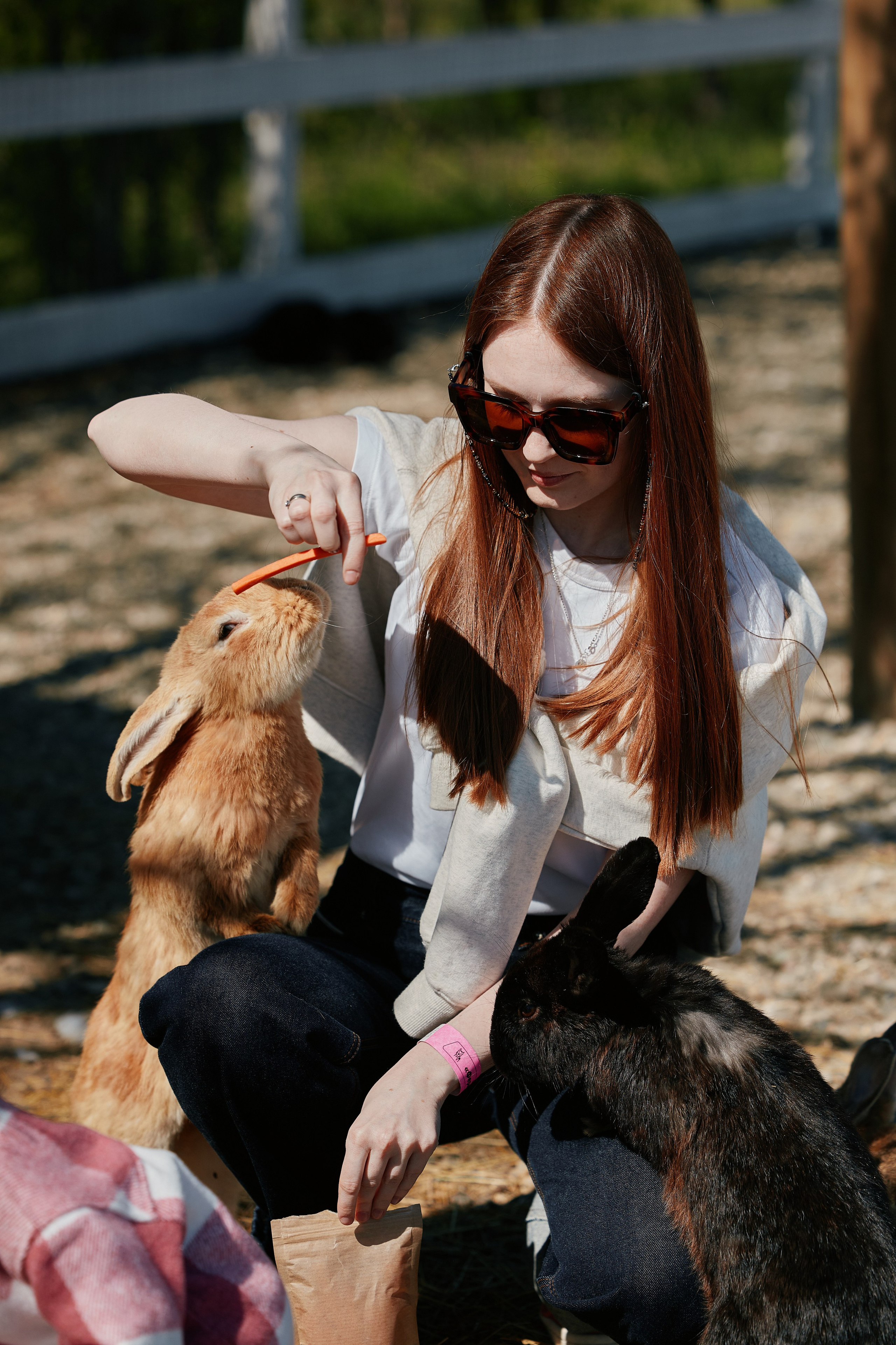 PRIVATE Weekend на Ферме Альпак 19.04. Свадебный репортажный фотограф краснодар максим дремов дрёмов фотосессия студия цена