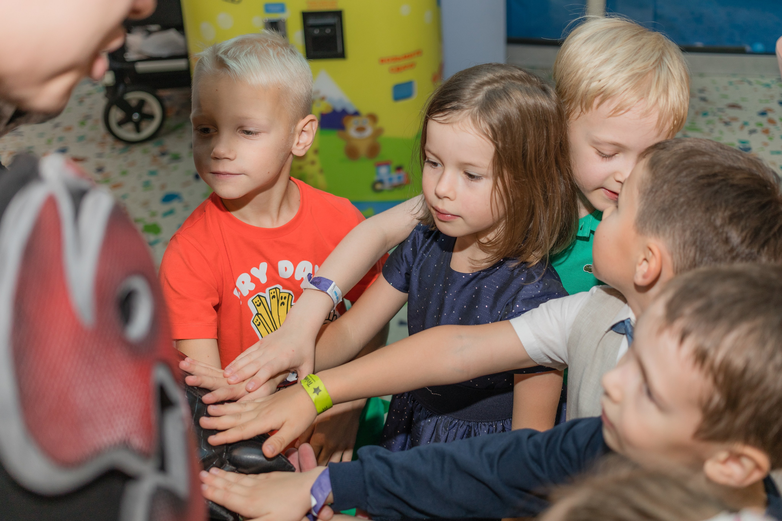 Крис 6 лет. Фотограф Алина Гашникова