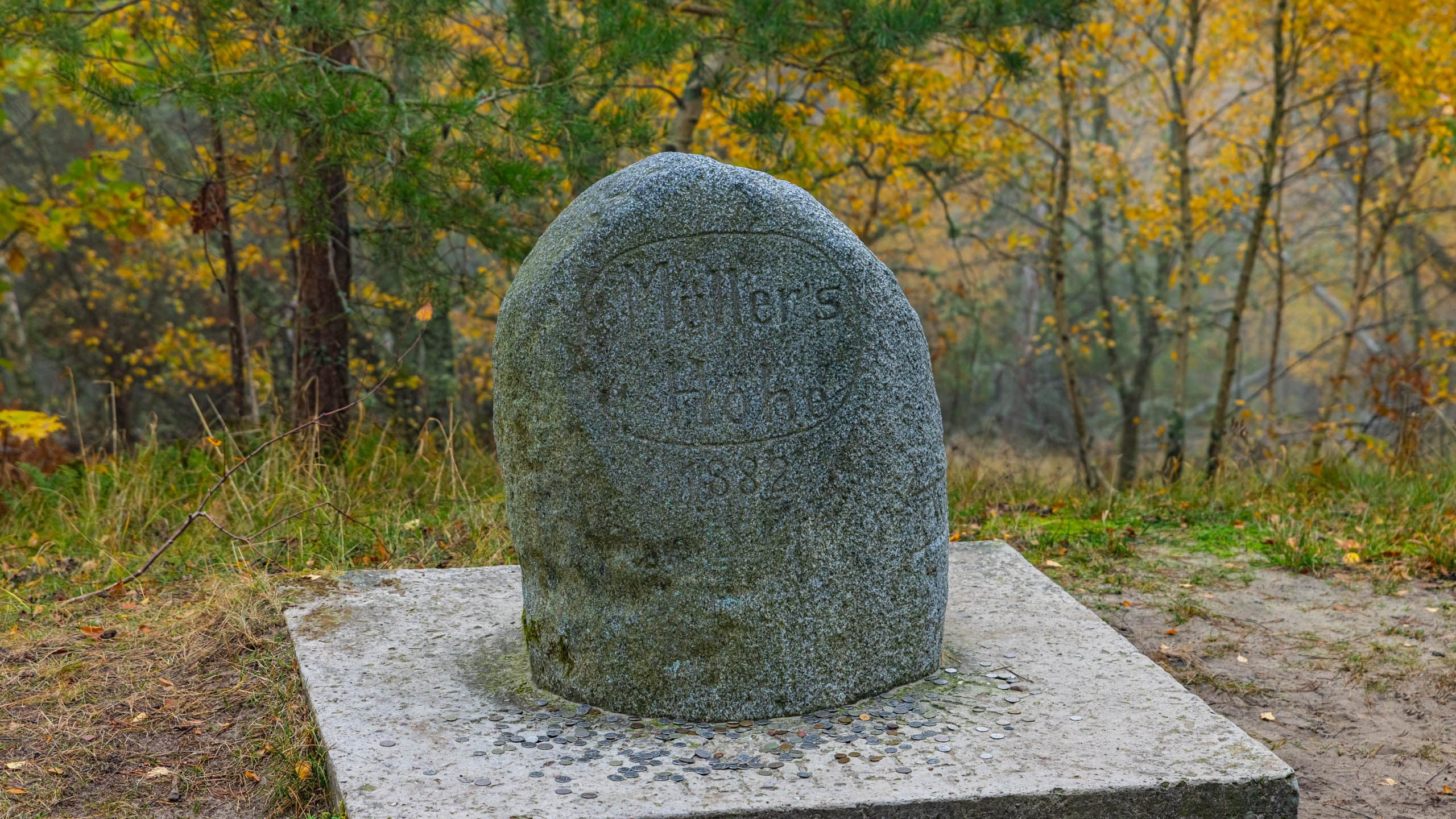 2024 10 Зеленоградск, Светлогорск, Куршская коса. Фотографии