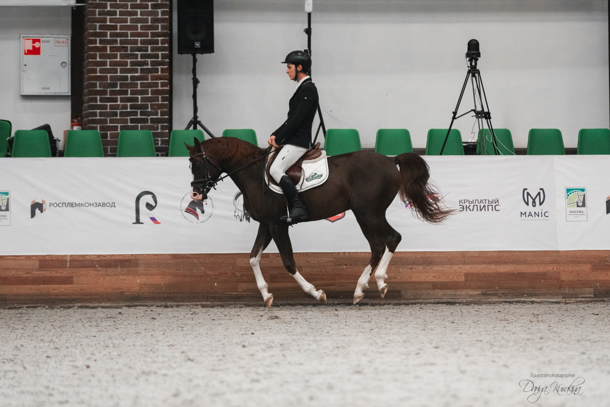 8-я международная выставка Конная Россия. Конный фотограф Куракина Дарья • Фотосессии с лошадьми