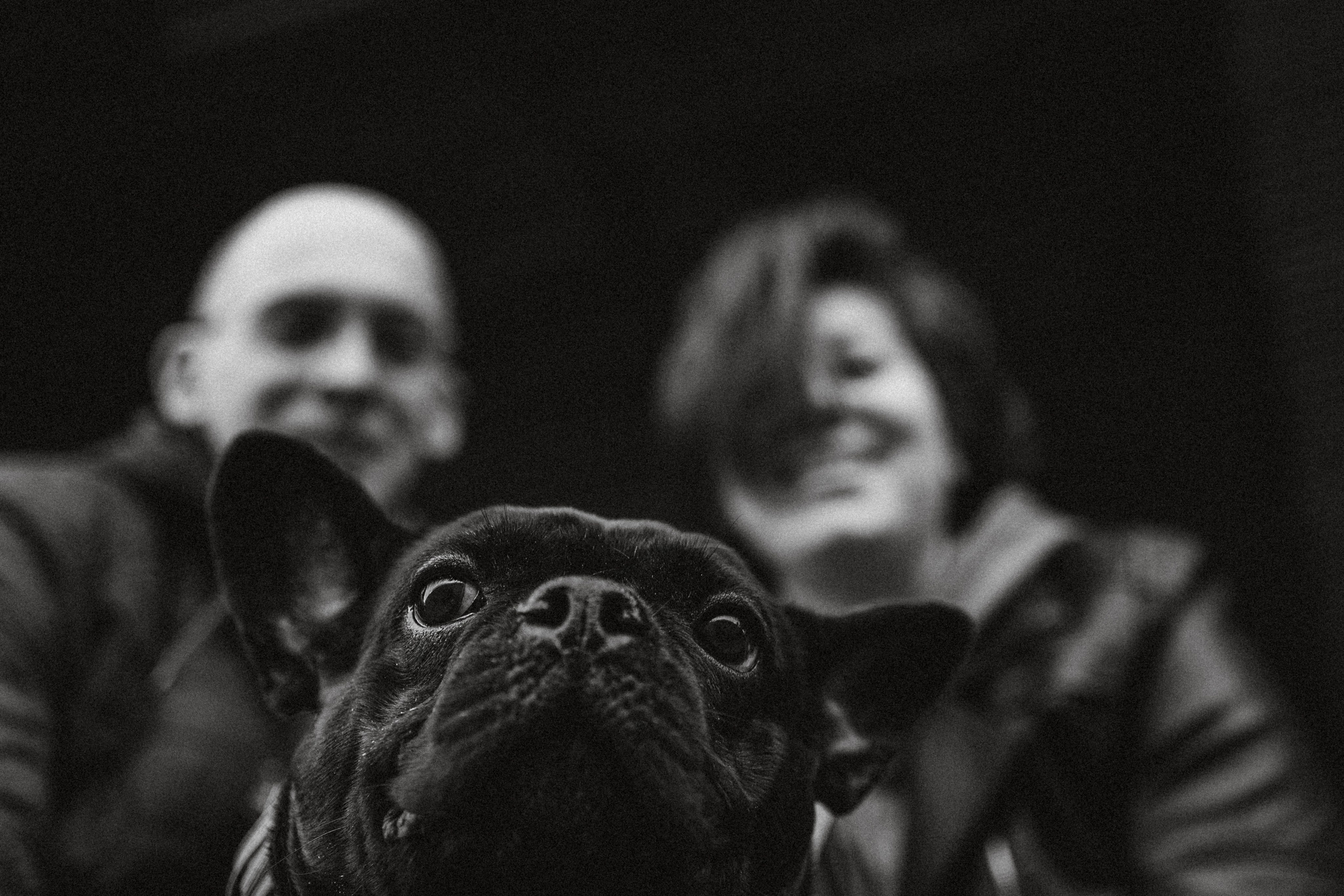 Саша, Дима и Шпуля