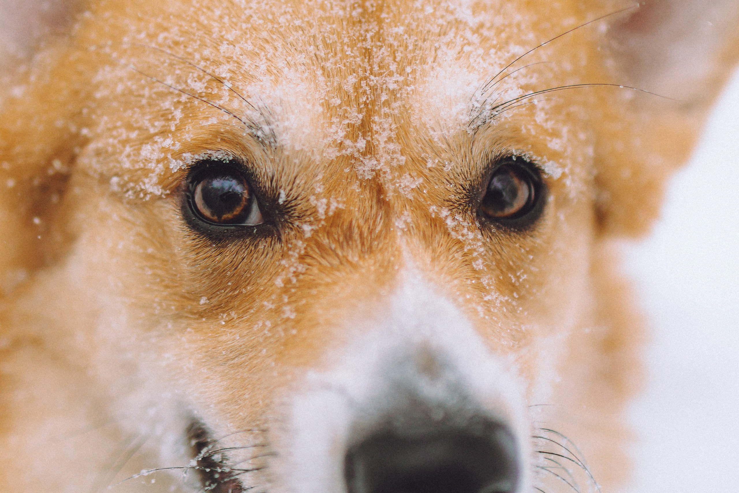 Юля и Юпитер