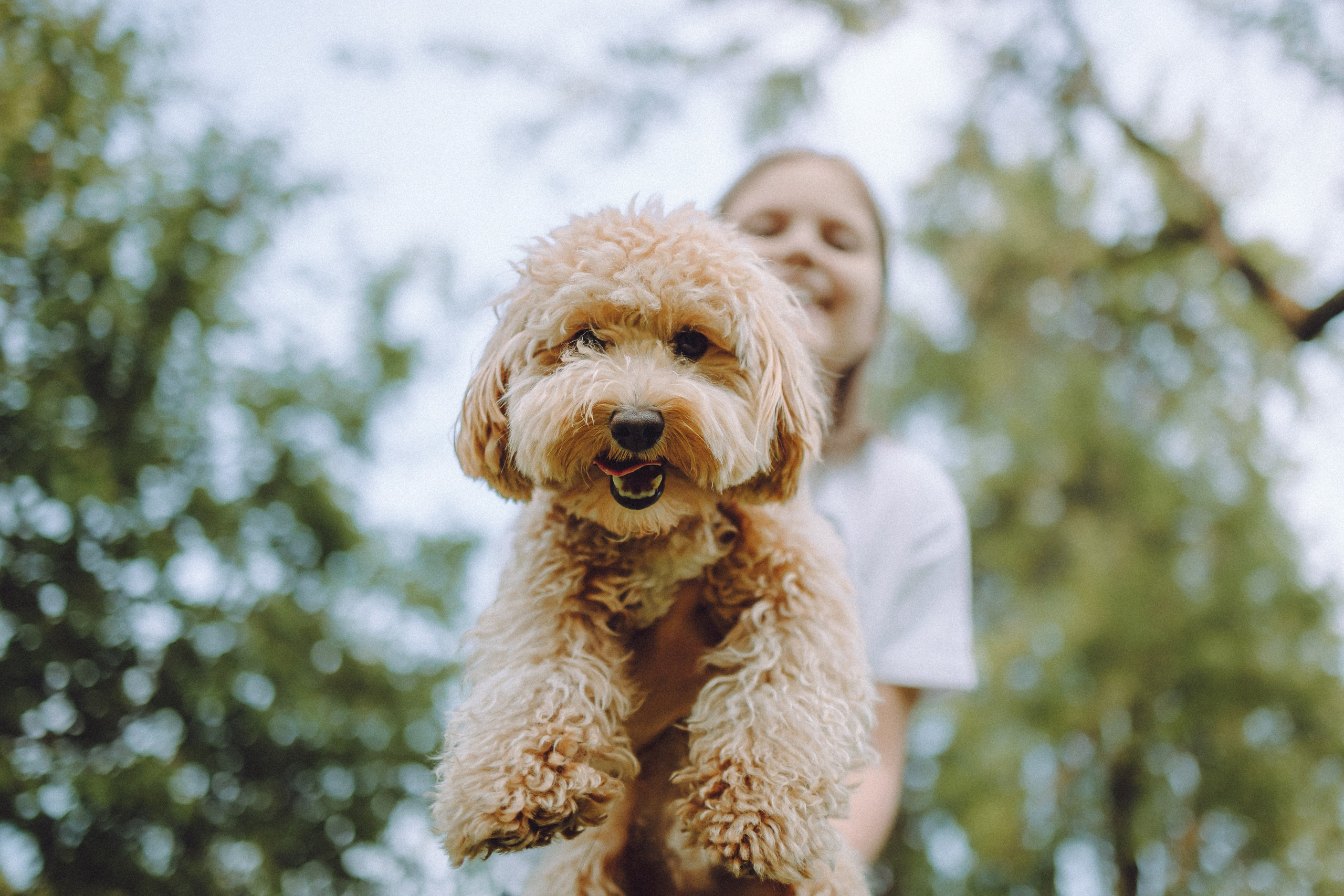 Фред и его семья