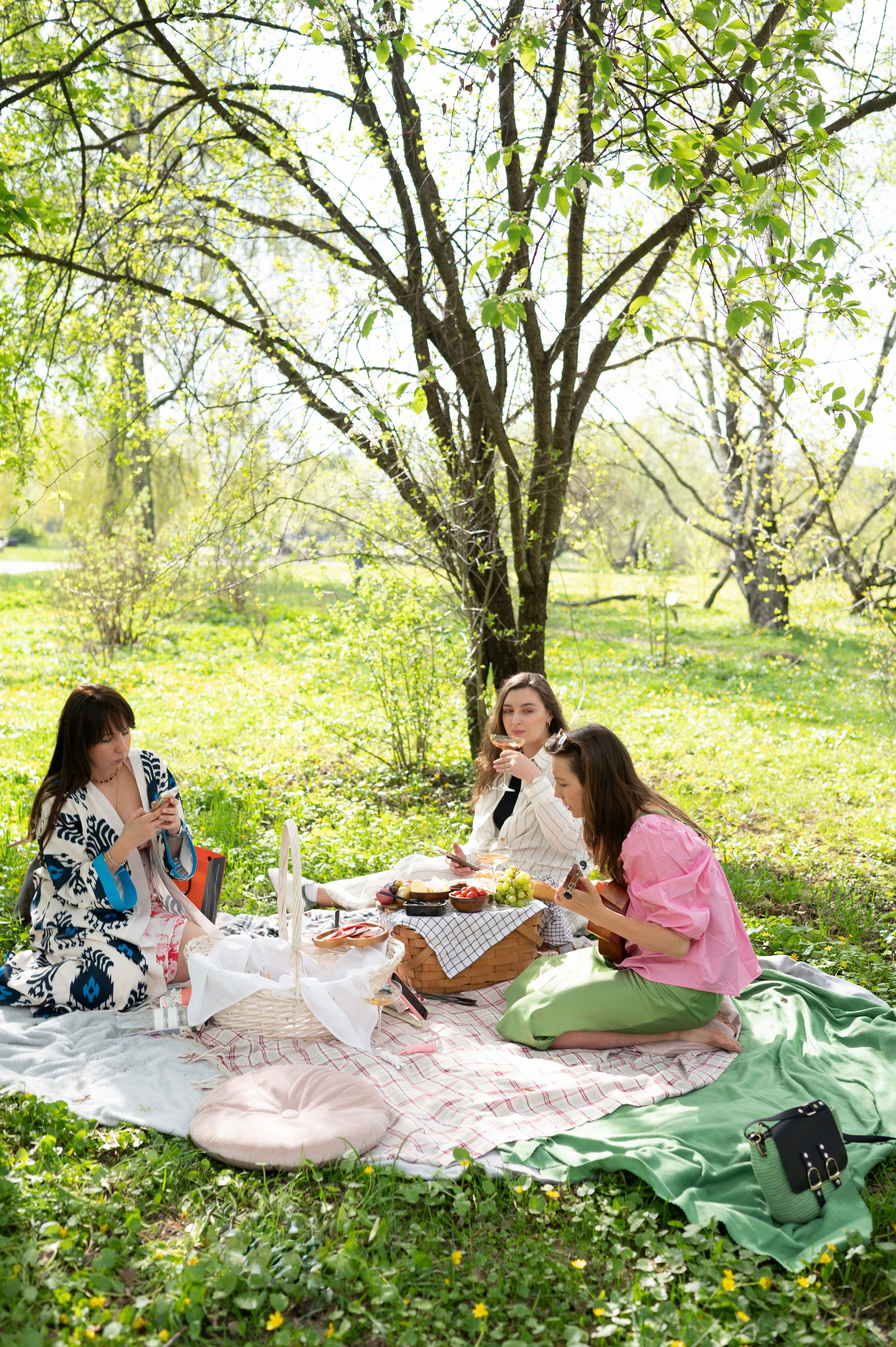 Пикник. Мир живой фотографии о Вас и для Вас