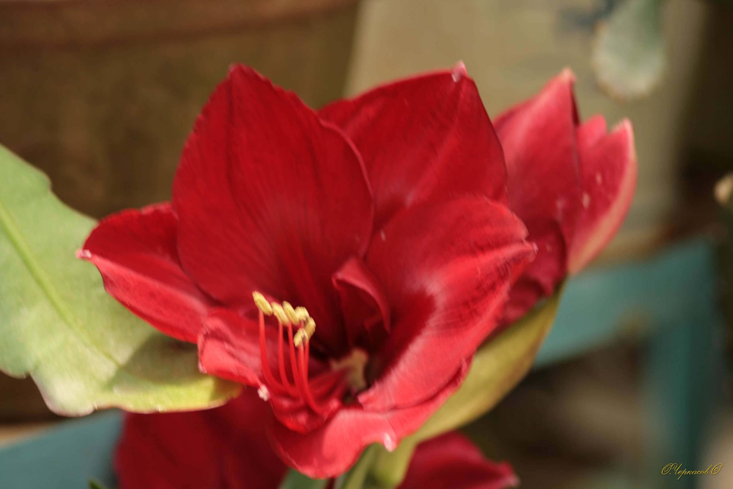 Вьетнам 2008 г. Улица, люди, жизнь…