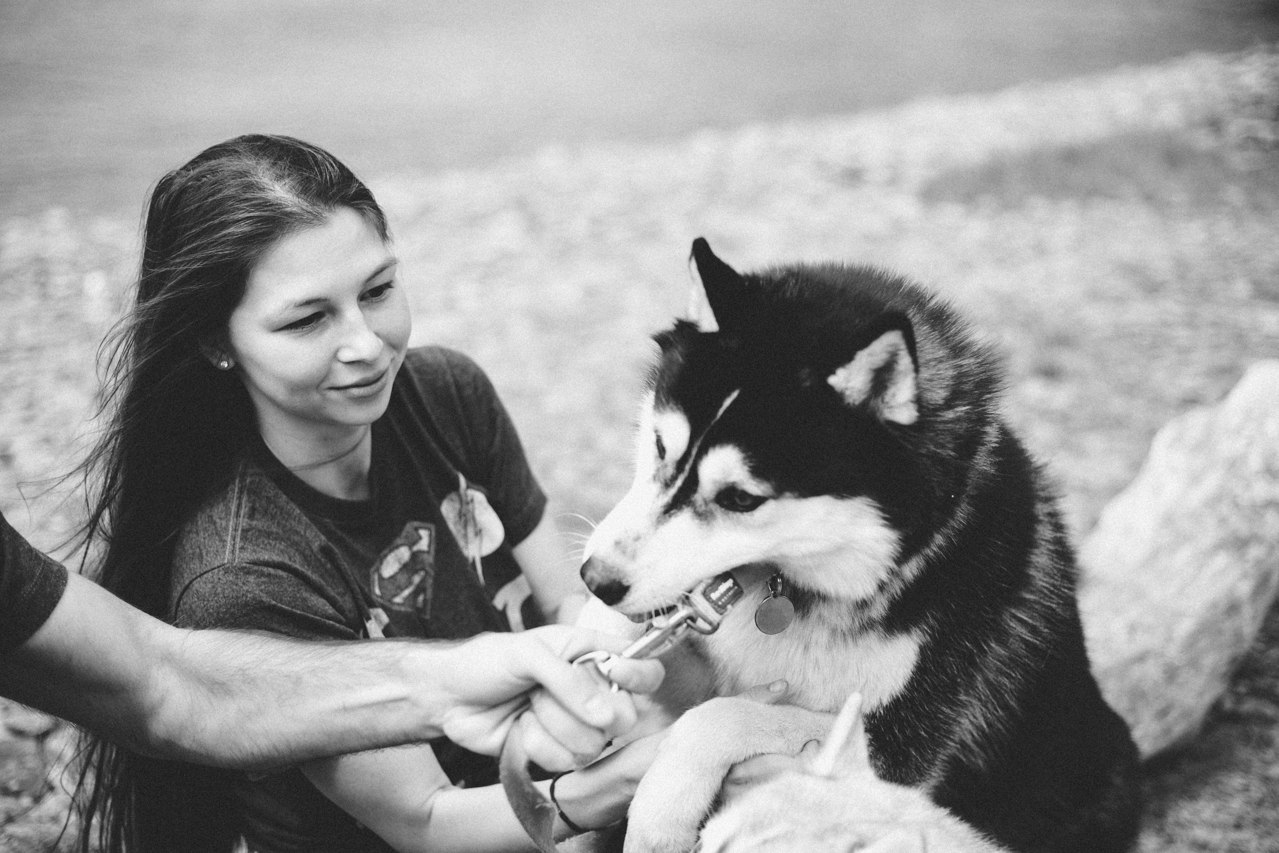 Один чудесный день. Свадебный и семейный фотограф во Владивостоке Овчинникова Дарья