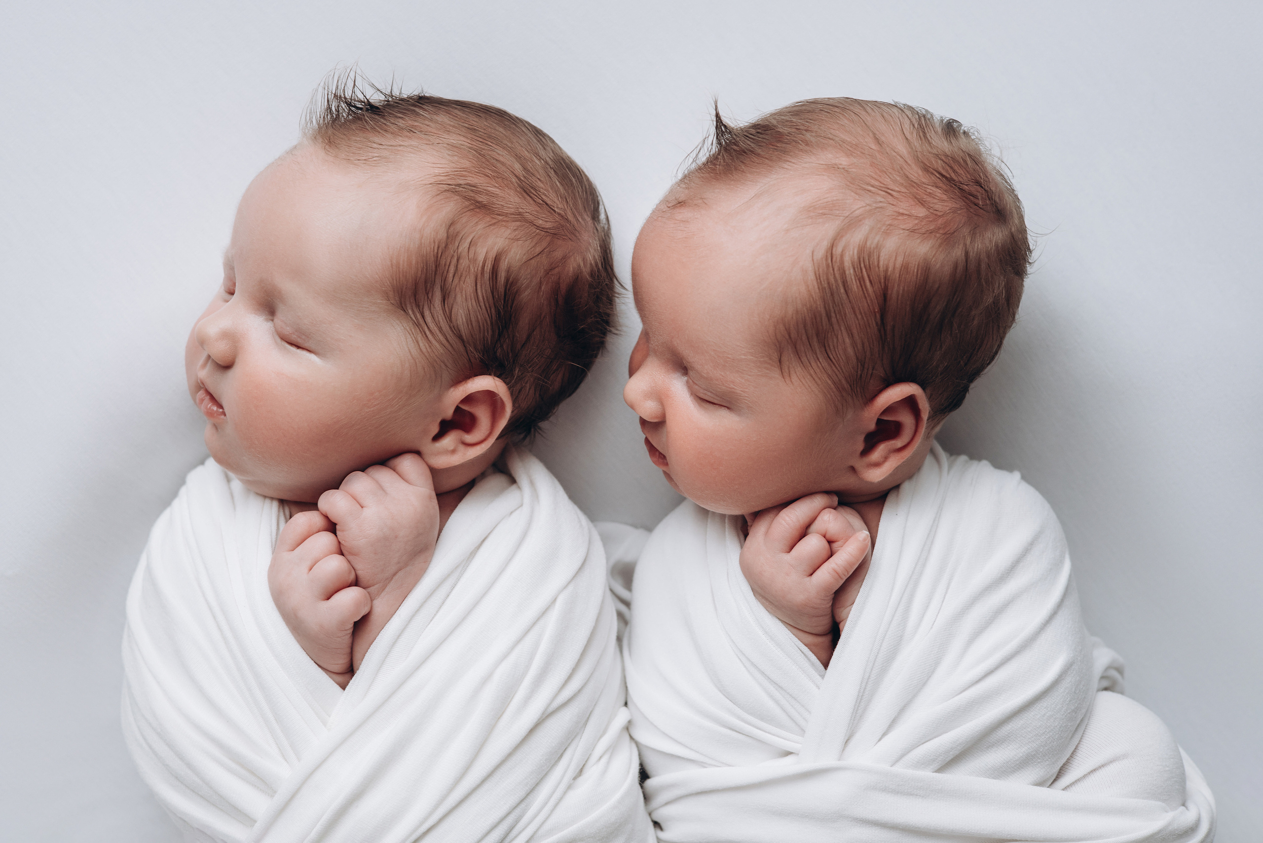 Двойня. Фотограф новорожденных и детский фотограф в Новосибирске
