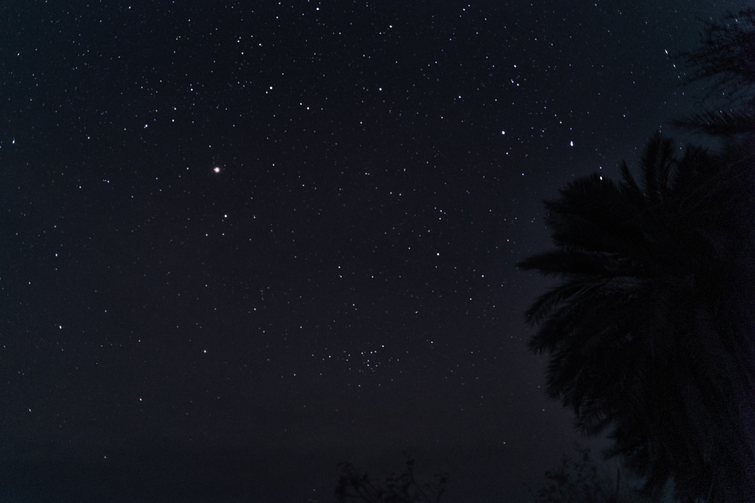 Улица горизонтальная. Jorgis — фотограф в Хургаде / обучение фотографии