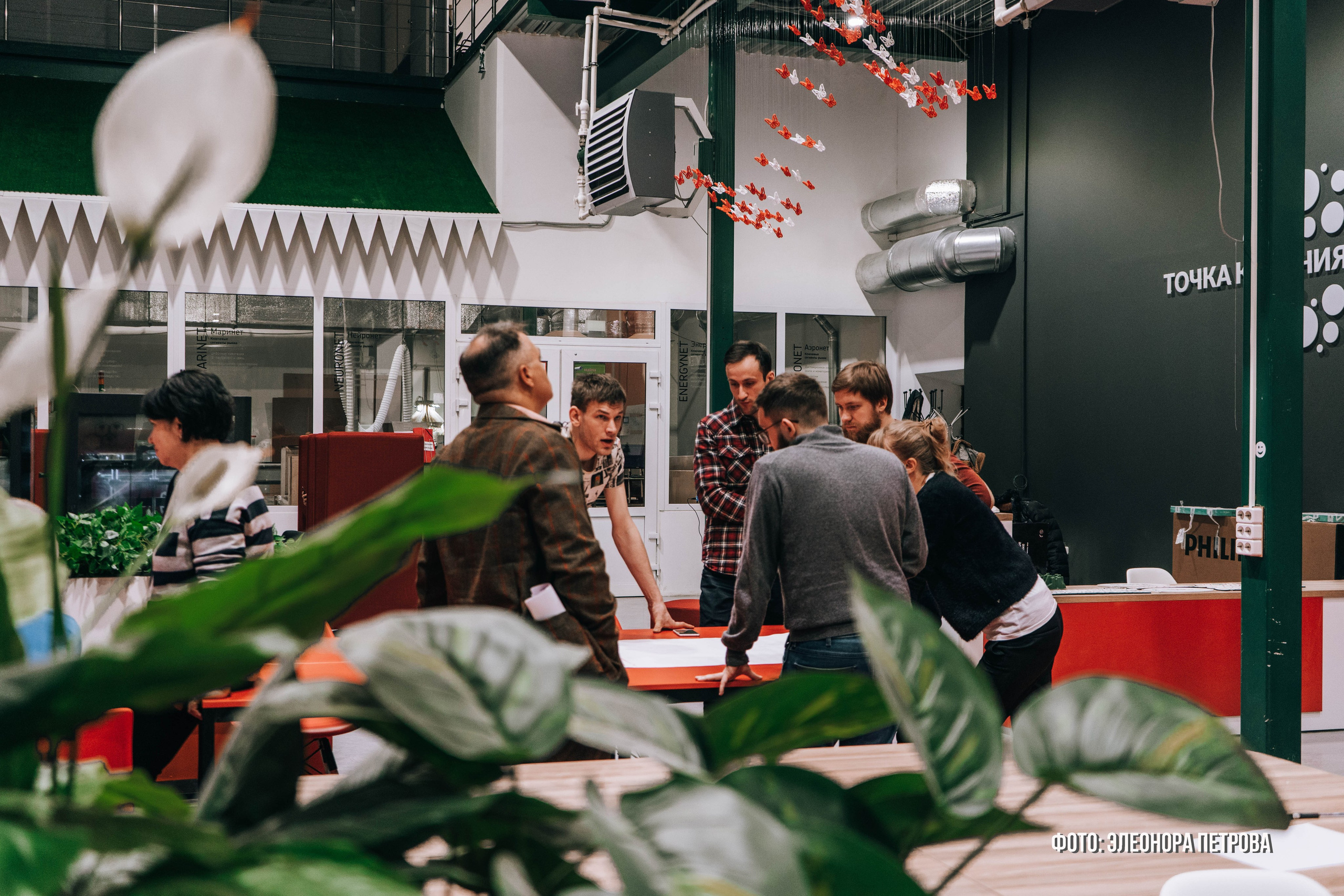 Твой бюджет. Видеограф, фотограф в Санкт-Петербурге Элеонора Петрова
