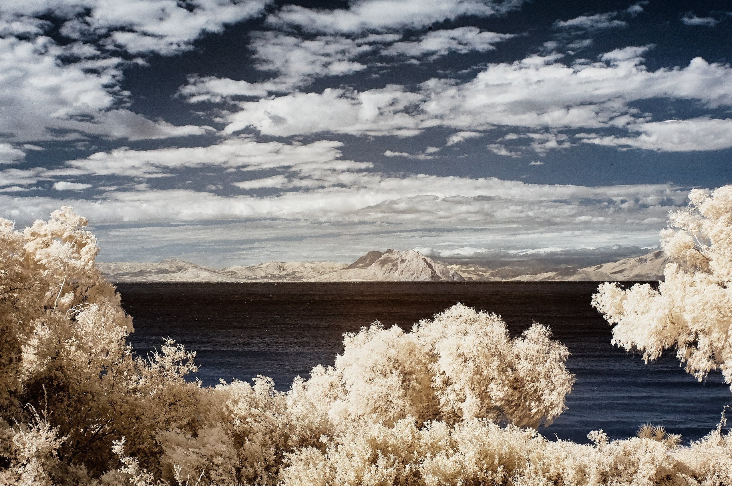 Infrared Photography. Solofilms
