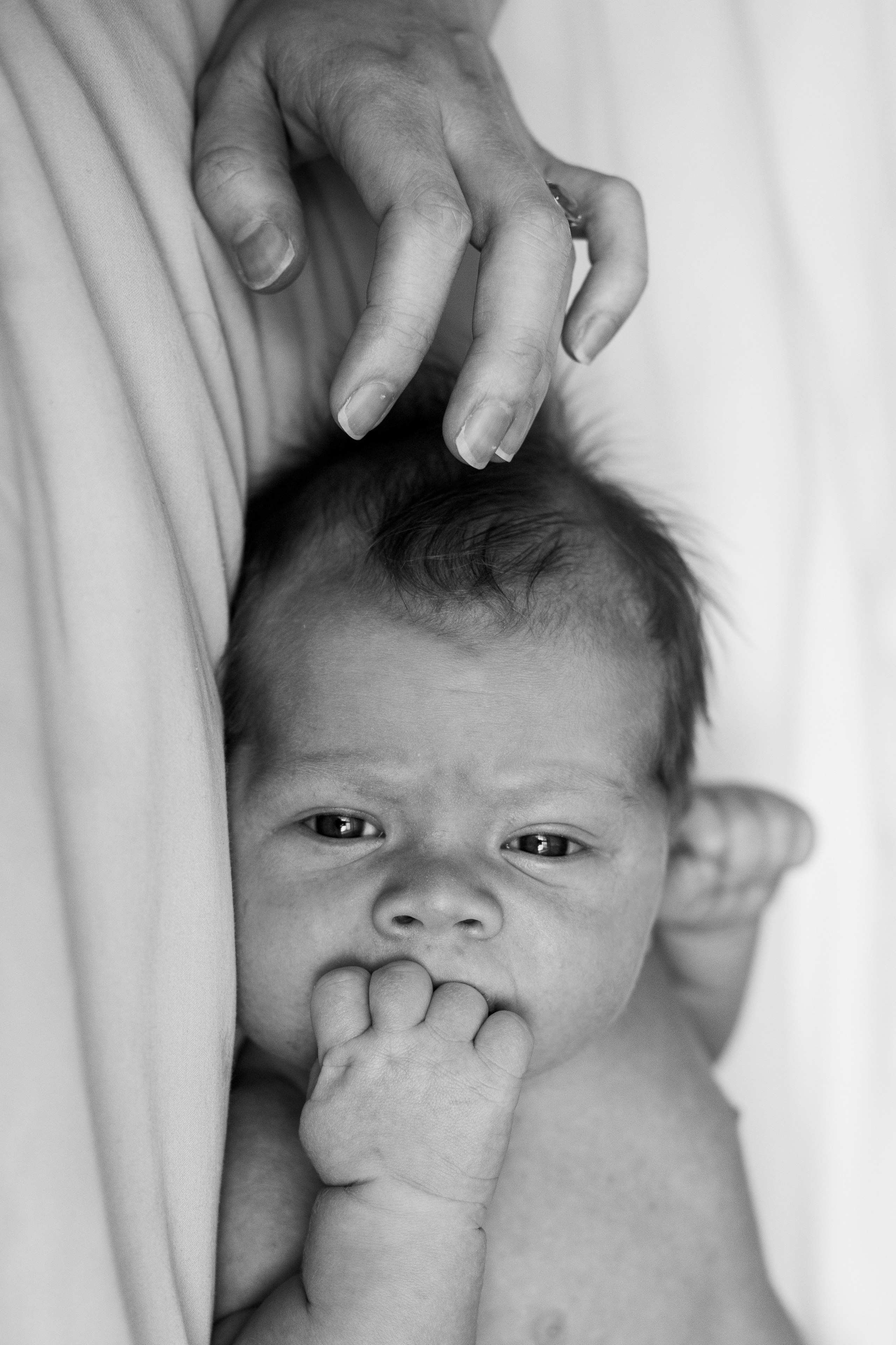 Ньюборн. Семейный фотограф Юлия Роберт. Москва
