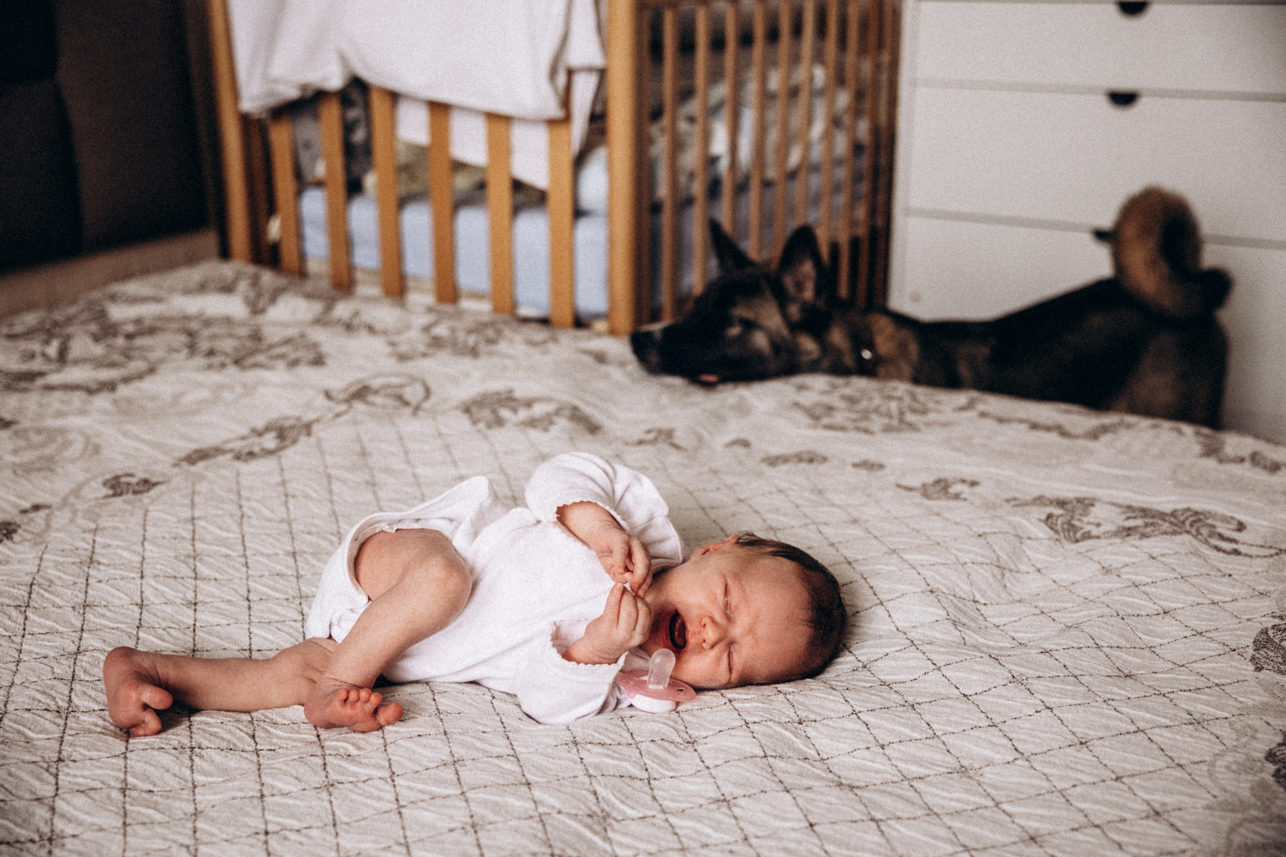 Маленькая принцесса и большая собака. Семейный фотограф Юлия Роберт. Москва