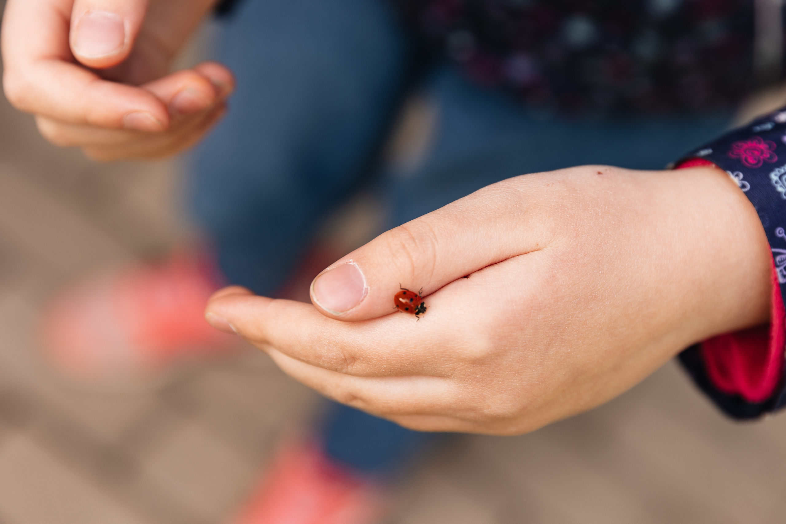 День рождения Льва. Семейный фотограф Юлия Роберт. Москва
