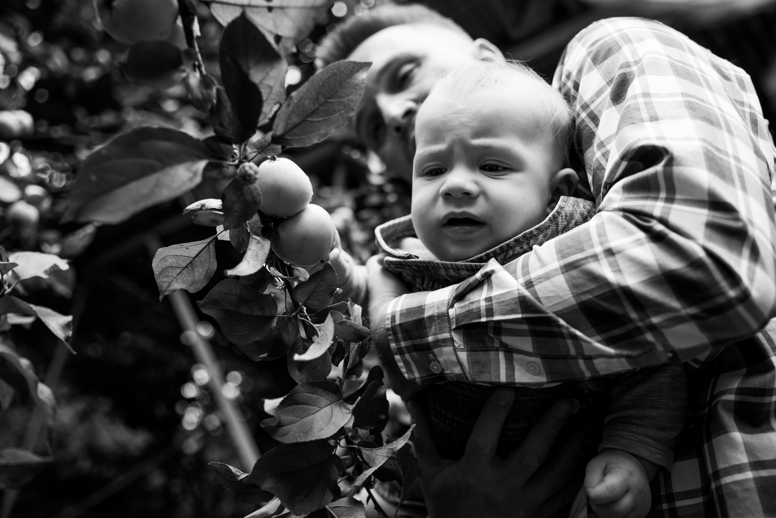 Дачная история. Семейный фотограф Юлия Роберт. Москва