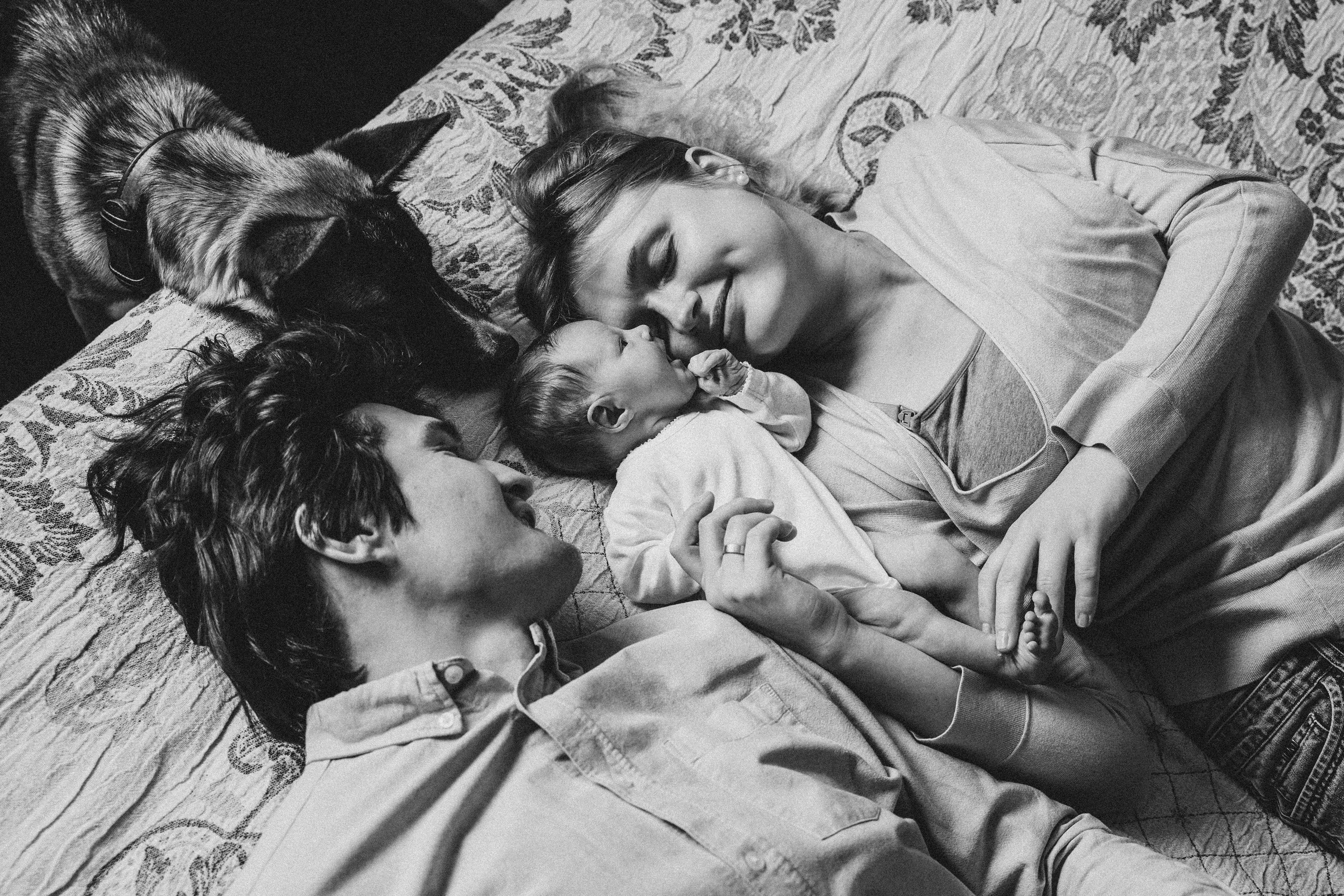 Маленькая принцесса и большая собака. Семейный фотограф Юлия Роберт. Москва