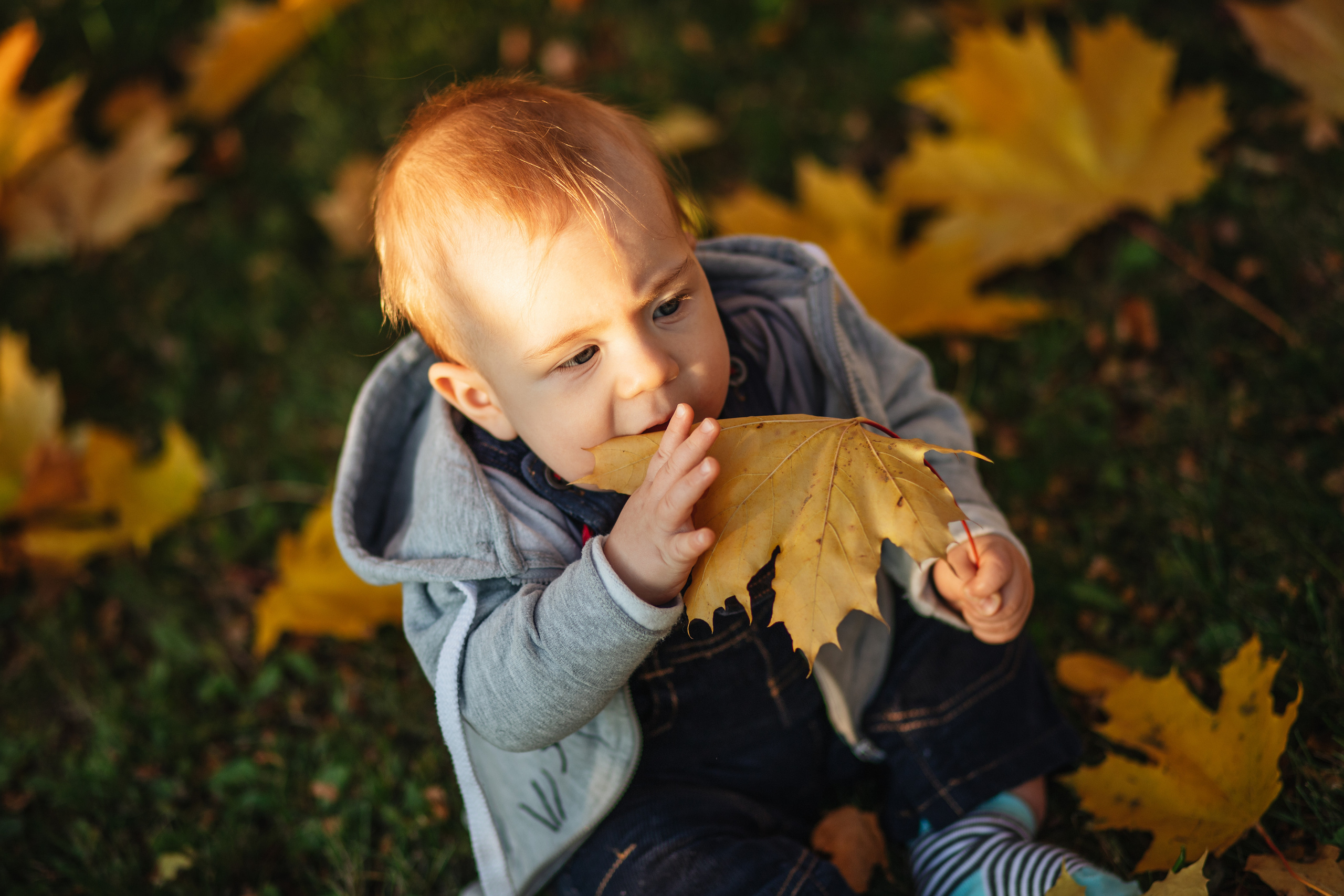 Лужники. Семейный фотограф Юлия Роберт. Москва