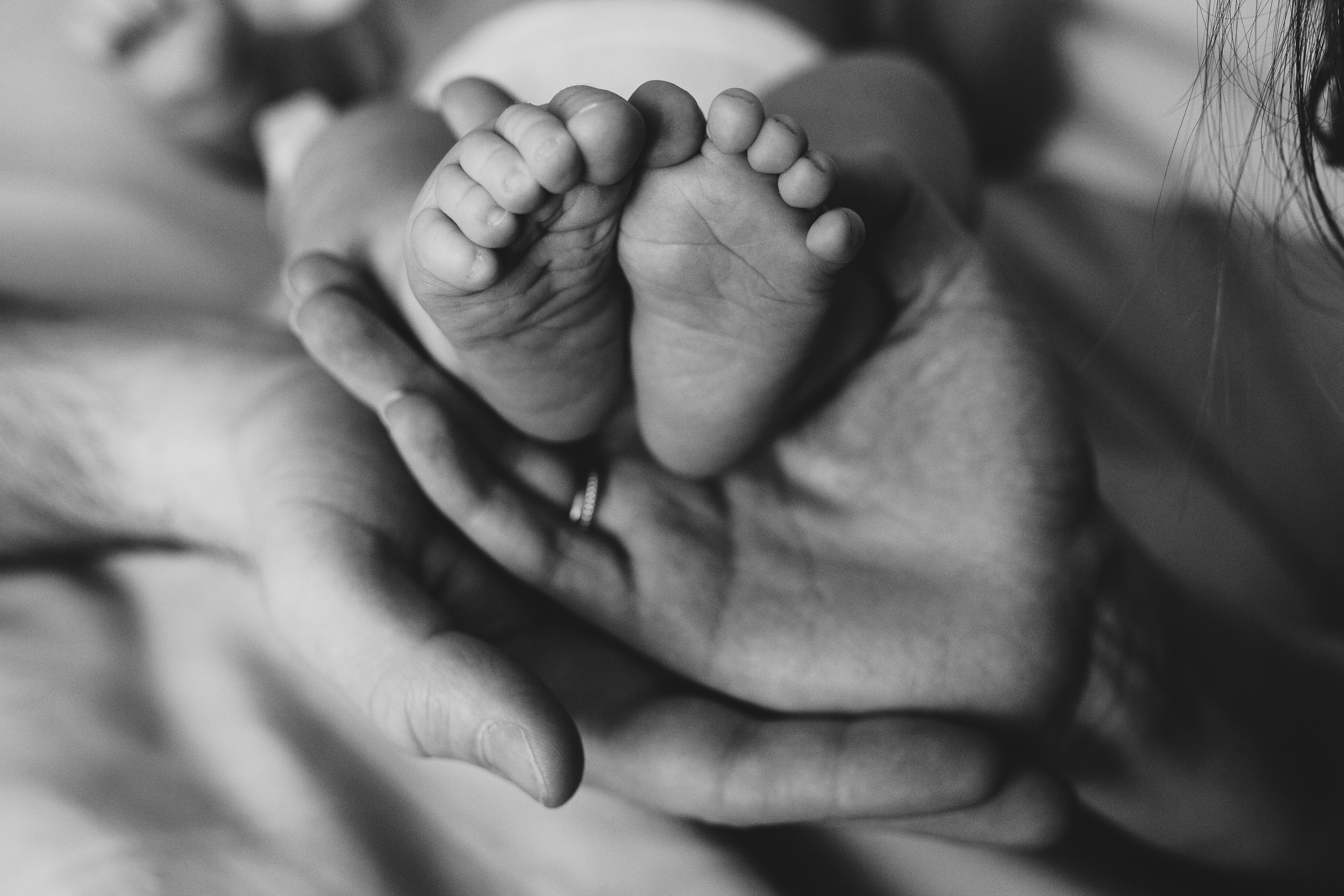 Ньюборн. Семейный фотограф Юлия Роберт. Москва