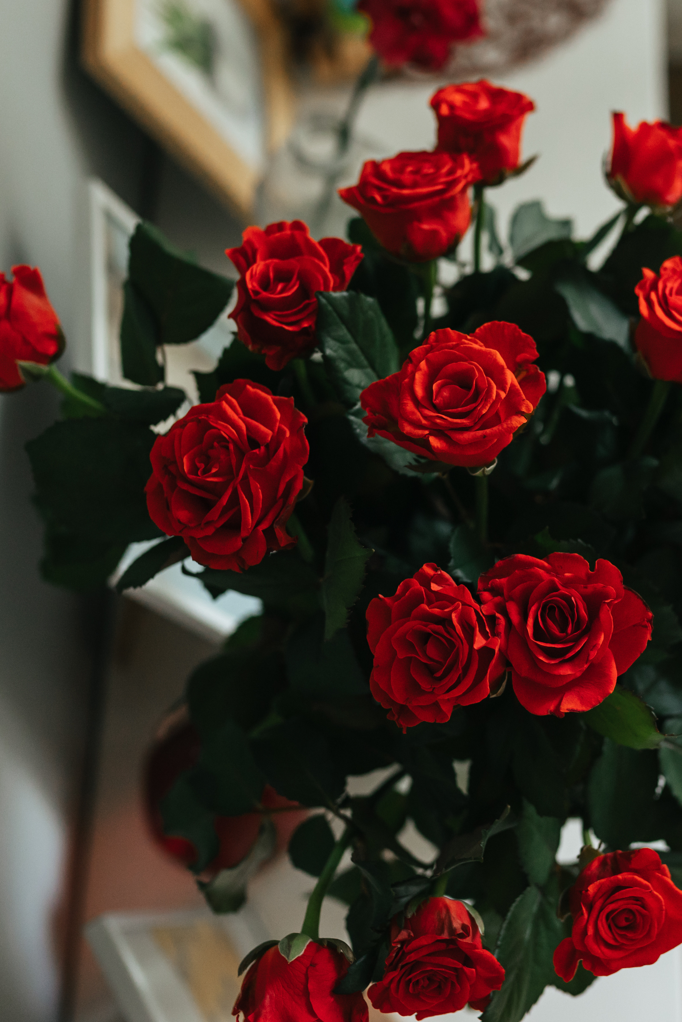 День рождения Льва. Семейный фотограф Юлия Роберт. Москва