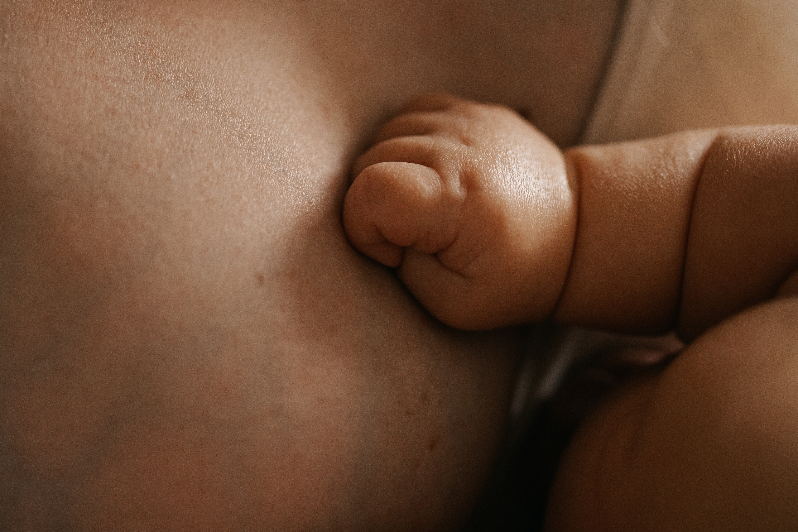 Дома. Семейный фотограф Юлия Роберт. Москва