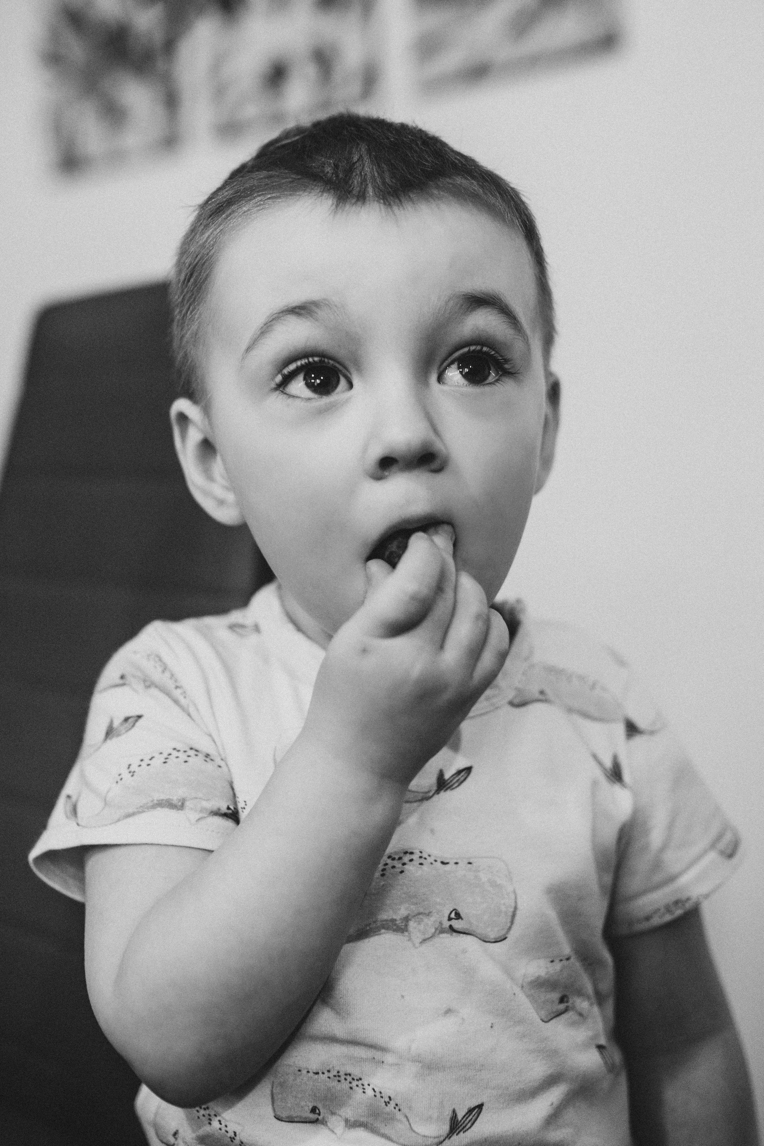 День рождения Льва. Семейный фотограф Юлия Роберт. Москва