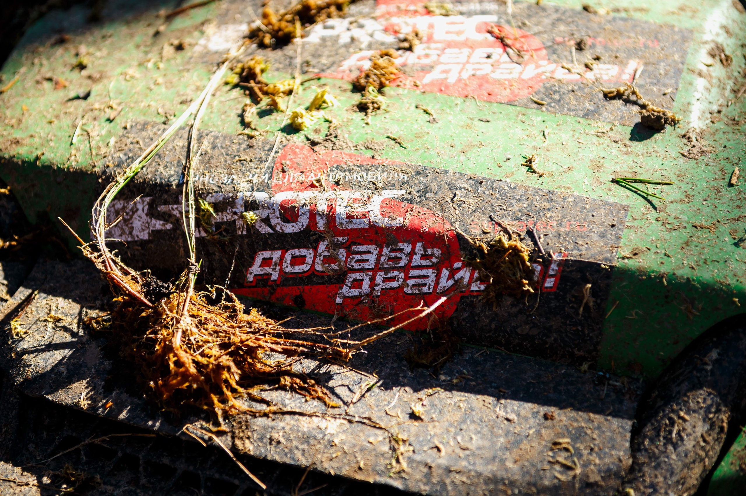 Ленинград-трофи 2024 — день 3. Фотограф Алексей Алексеев