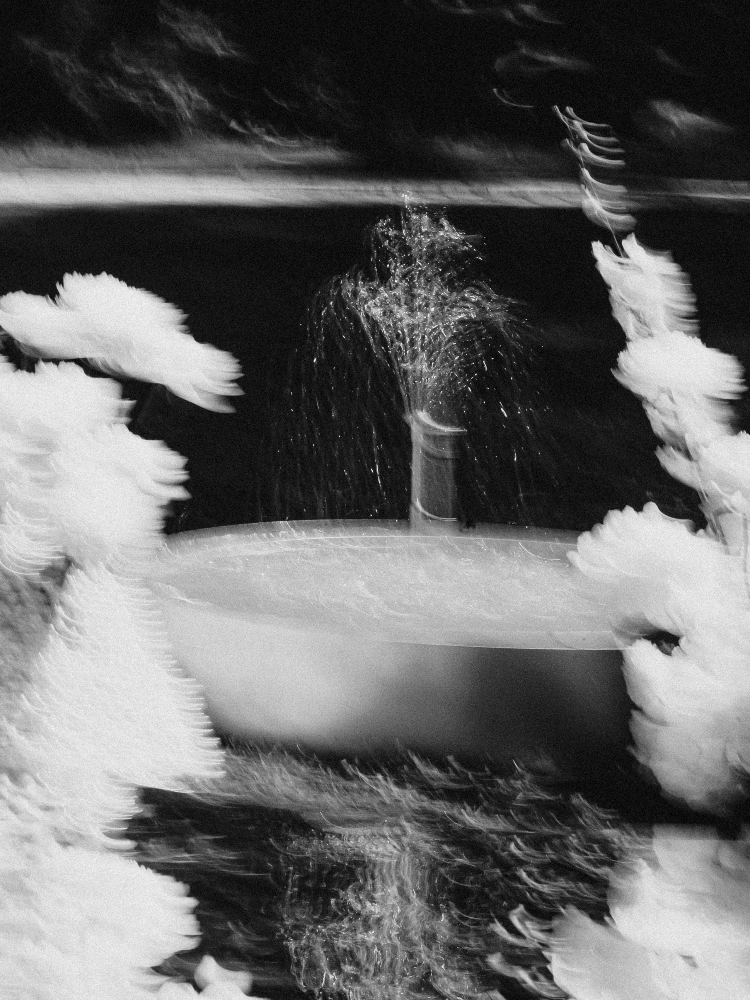 1. Свадебный фотограф @alexandradmitrievaph