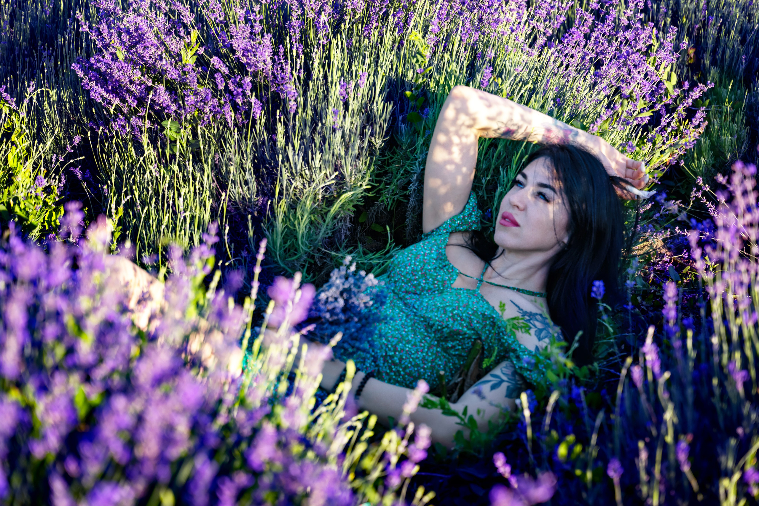 Лаванда. Главная