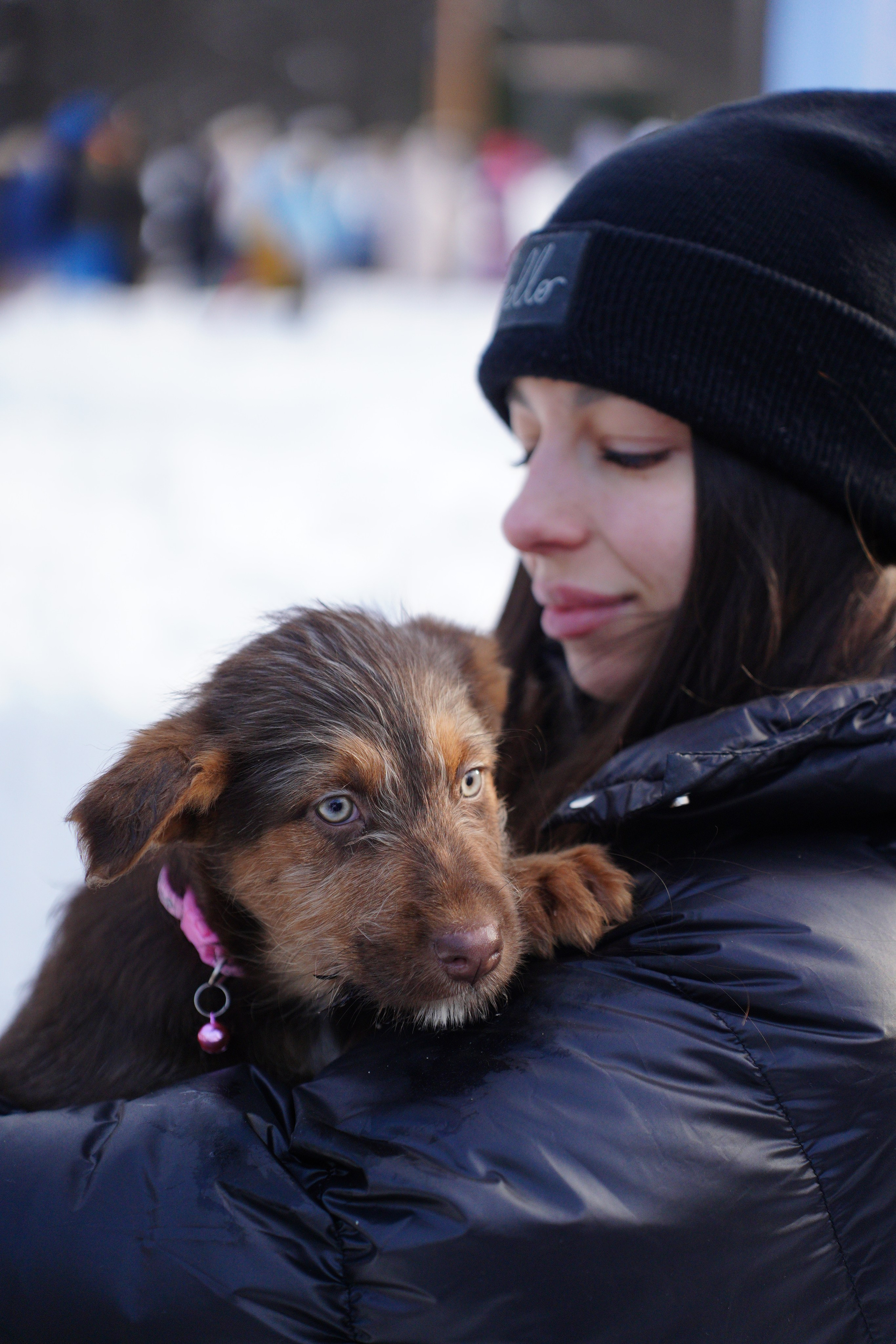 Благотворительная Акция «Ищу Человека». Pupov.png