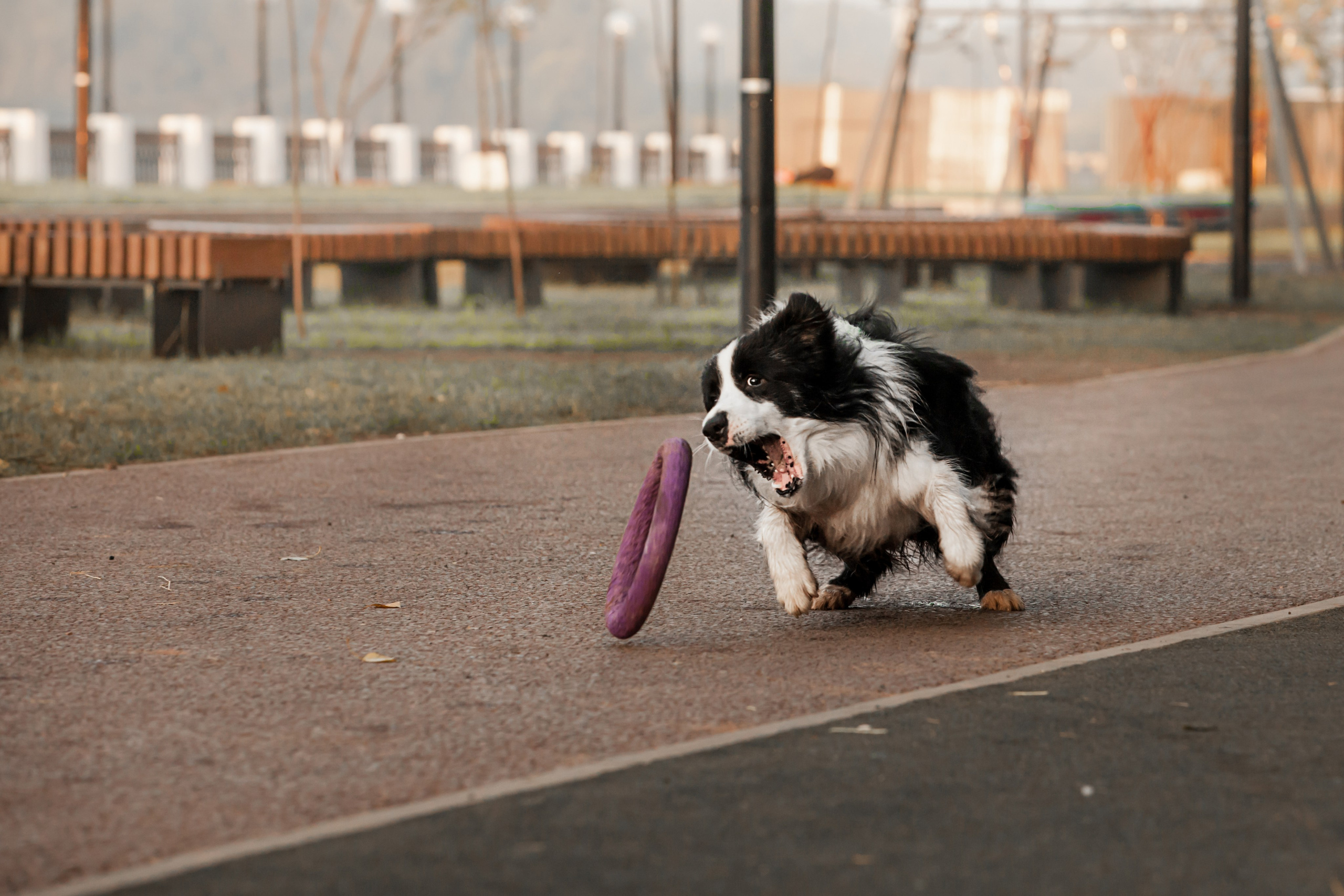 Сочный рассвет, на который решились. О нас