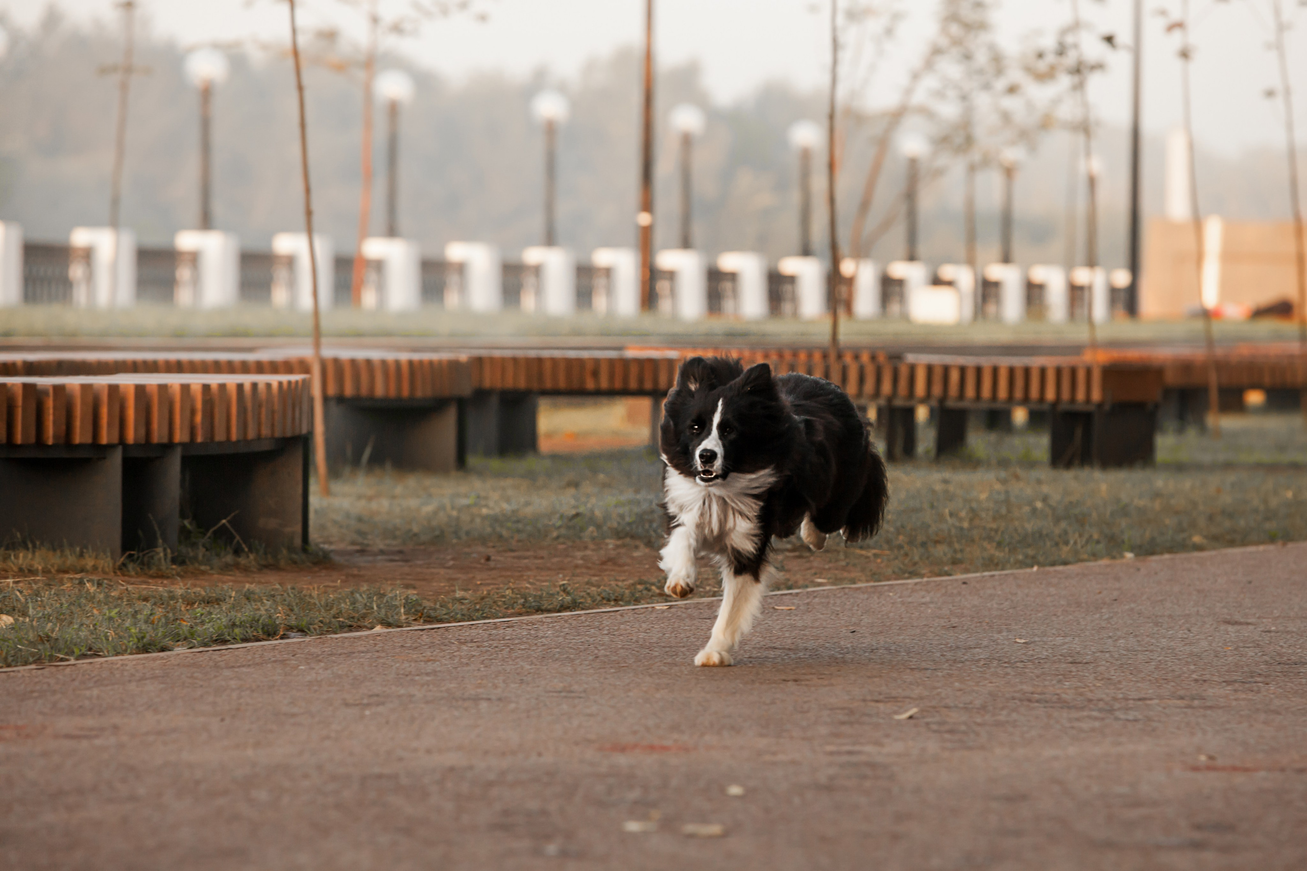 Сочный рассвет, на который решились. О нас