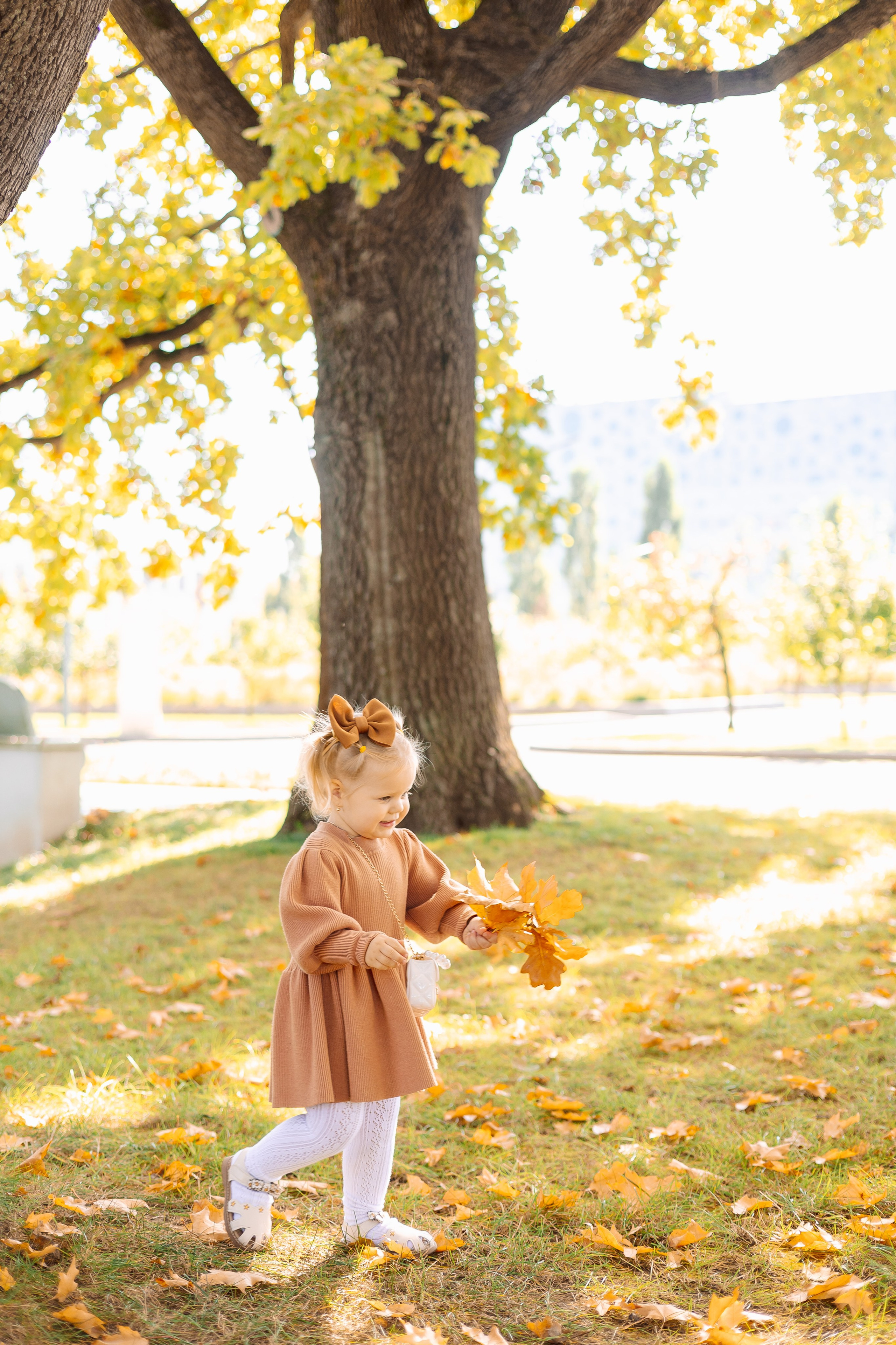 Осенние листья