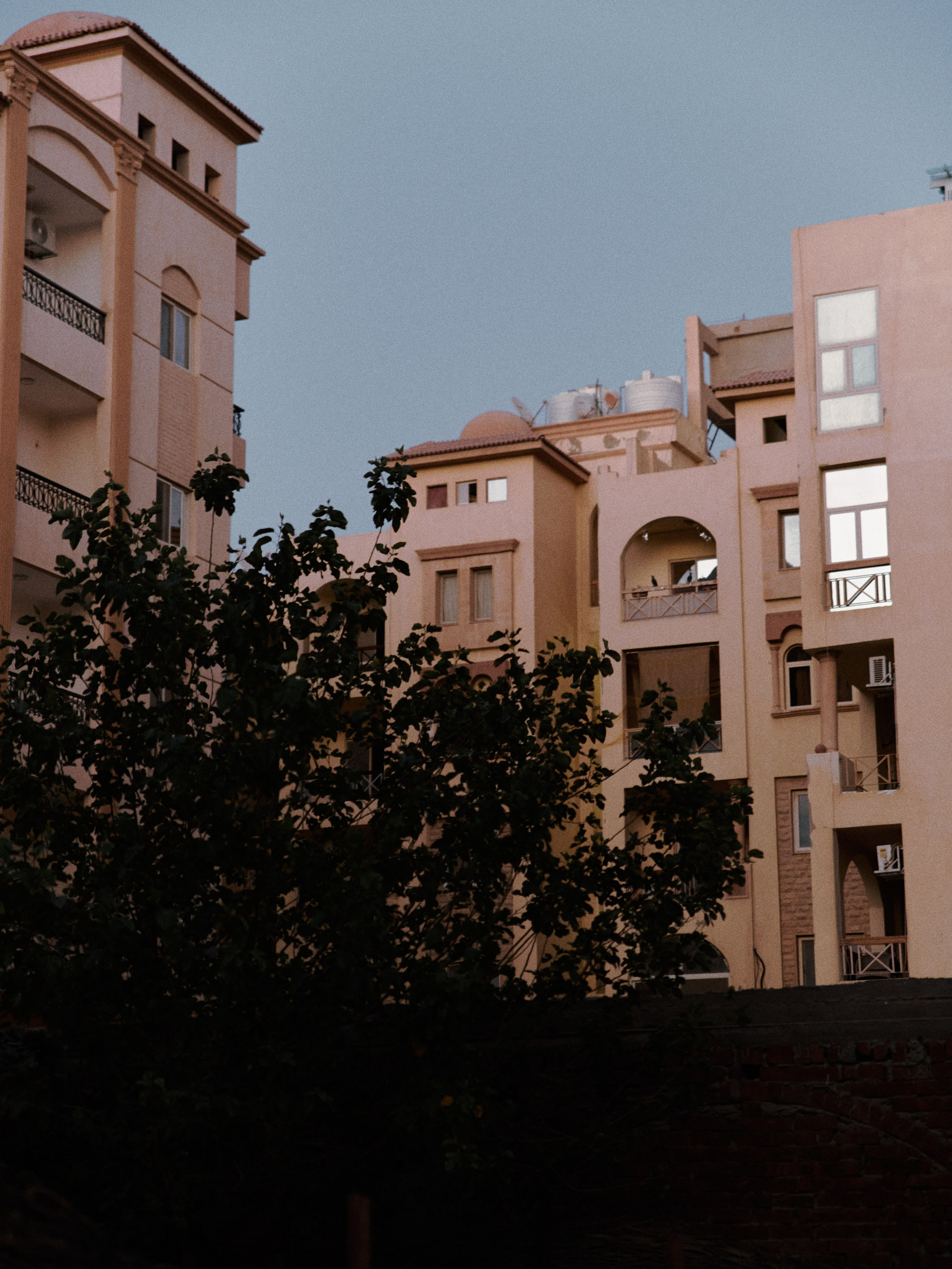 Природа сквозь. Jorgis Talè — photographer, kind person, teacher of arts and other mag