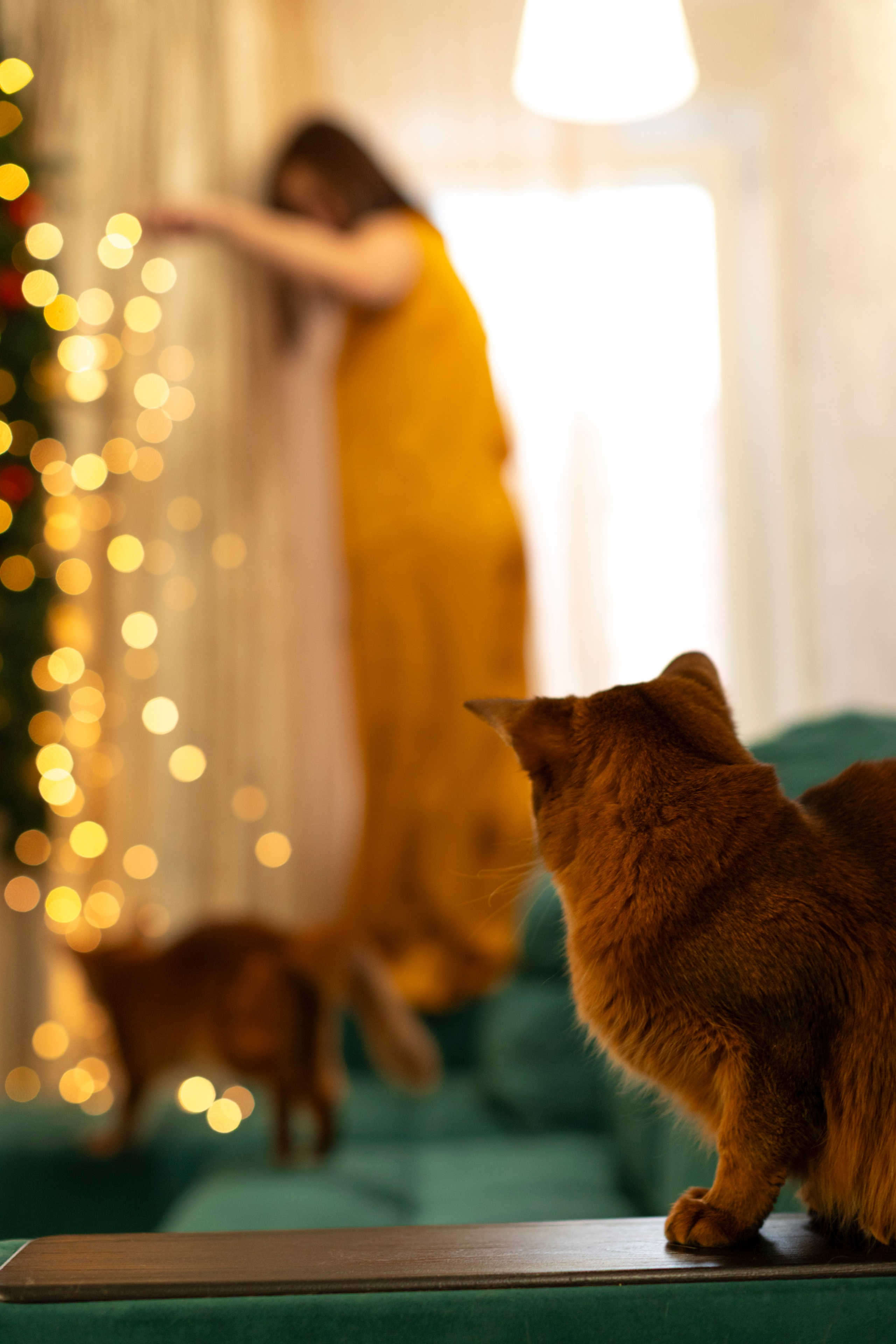 Сомали. Art my Pho