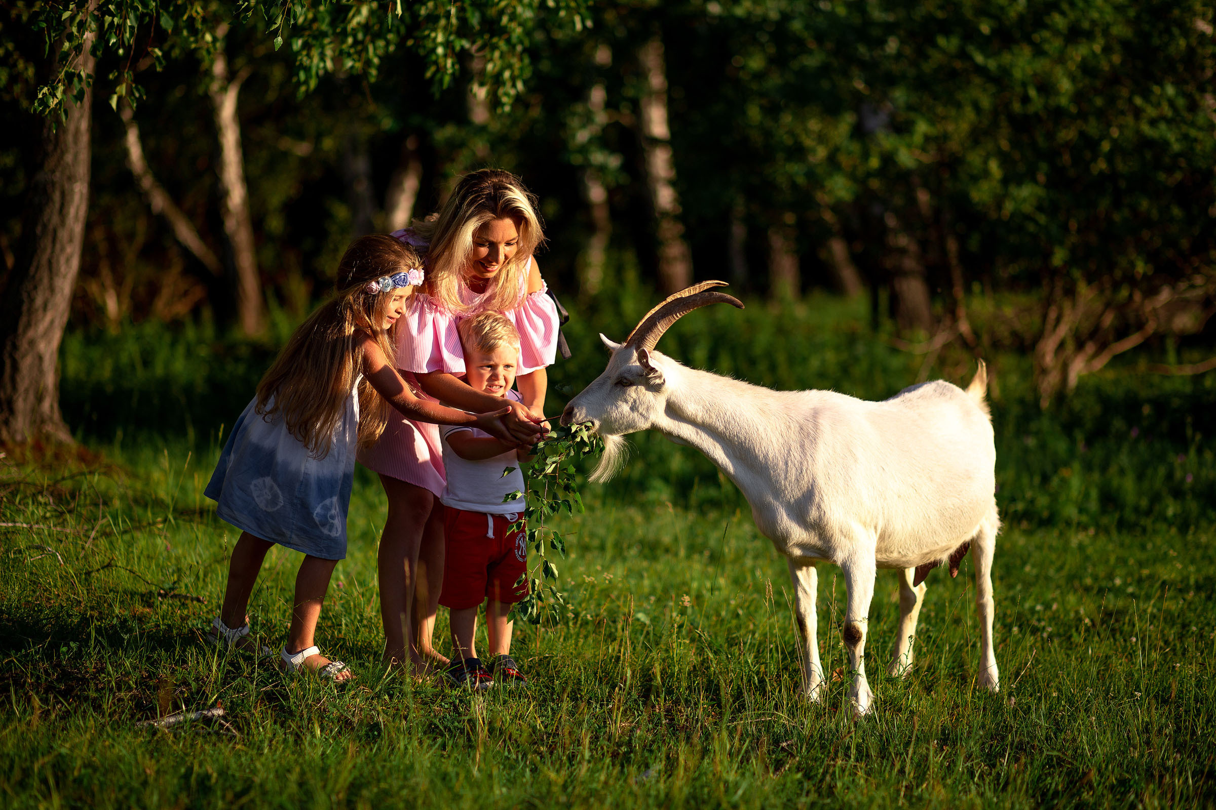 Семейная фотосессия на Банном. Автор Андрей Куликов