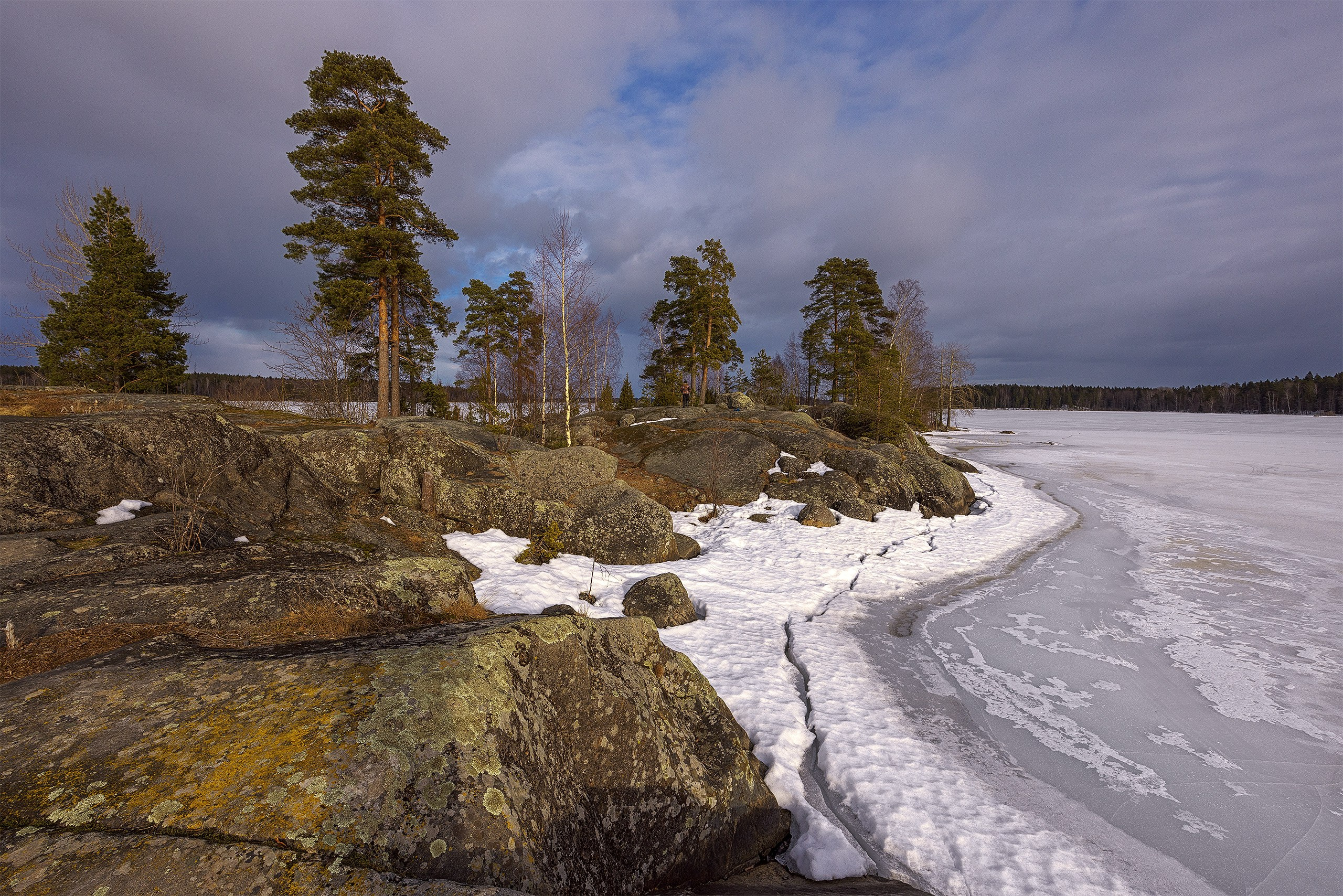 Пейзажи. Сайт фотографа Елены Михайловой. Фотосессии на пленэре в Сестрорецке