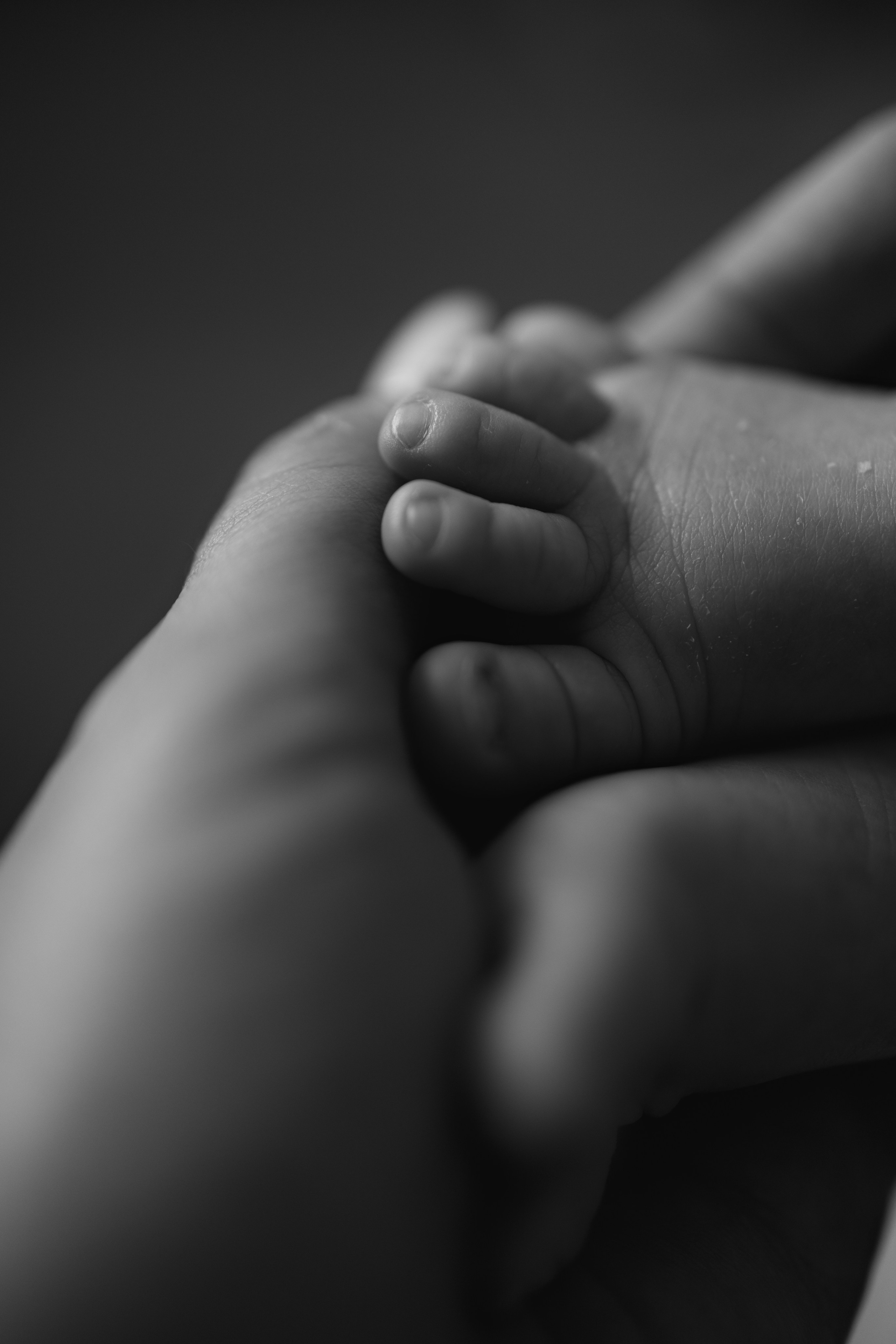 Семьи. Детский и семейный фотограф в Чите Анастасия Шубина