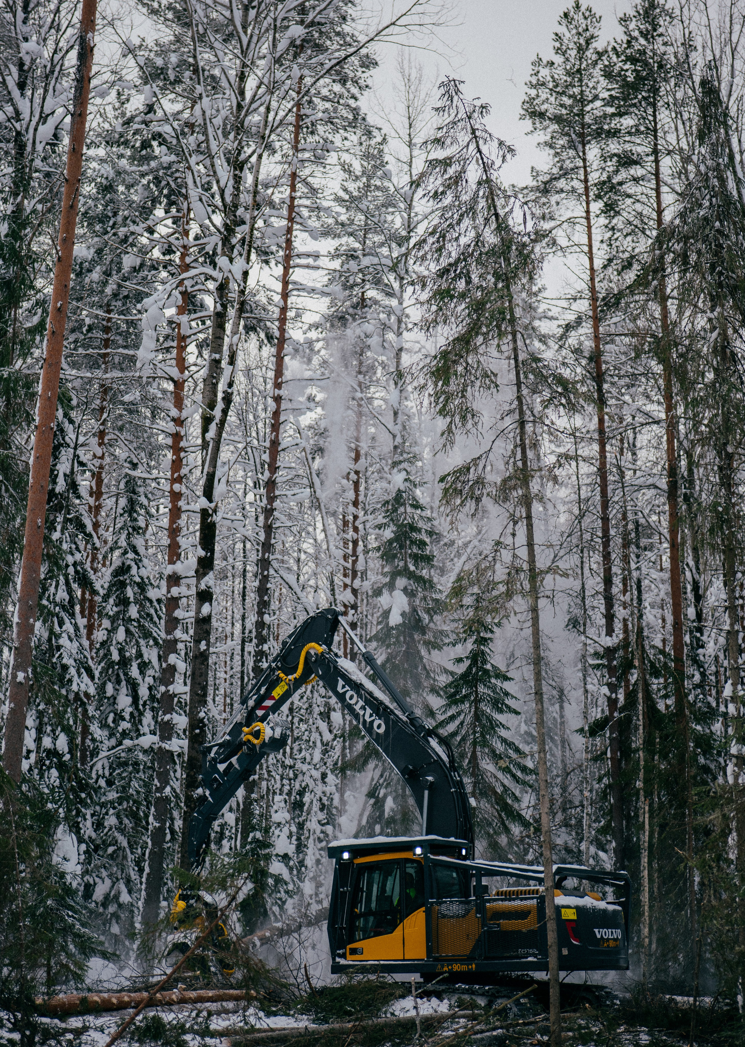 АРХАНГЕЛЬСК. Создание контента | Фото | Видеосъемка | Александр Ярков