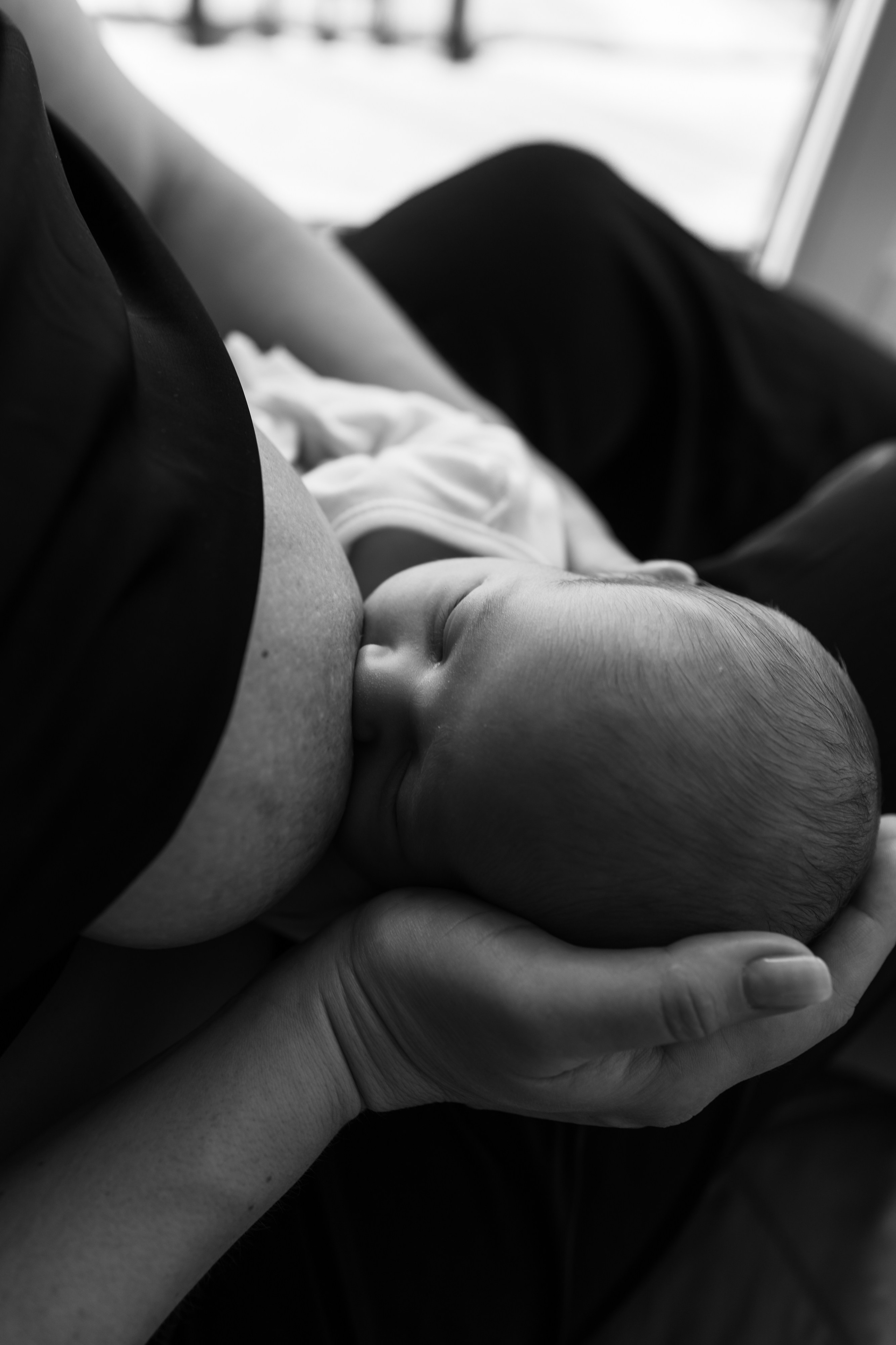 Гордей. Фотограф Новосибирск