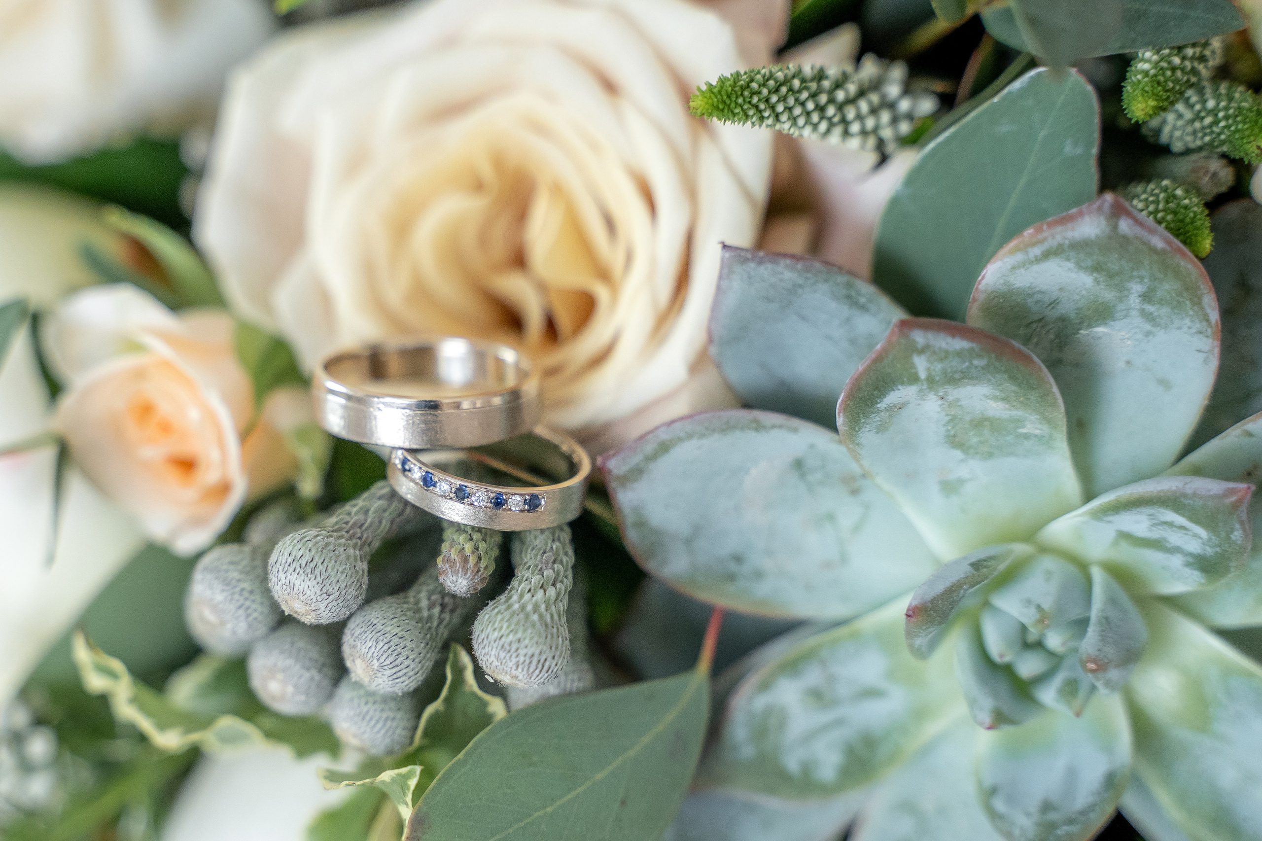 Дмитрий и Вика. Архив