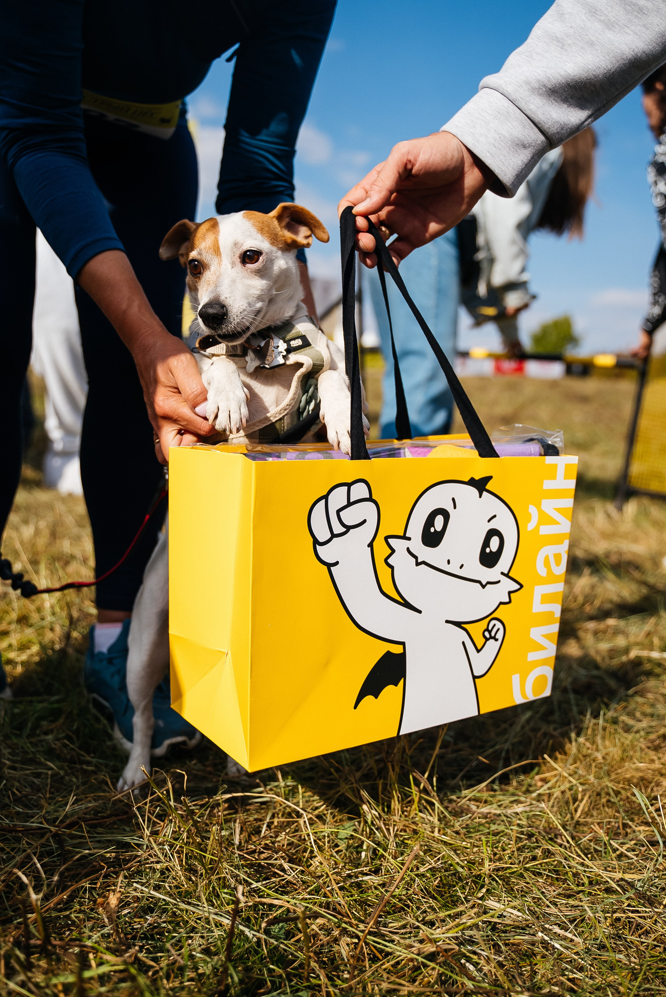 Билайн. Павел Краснов — Свадебный и репортажный фотограф в Москве