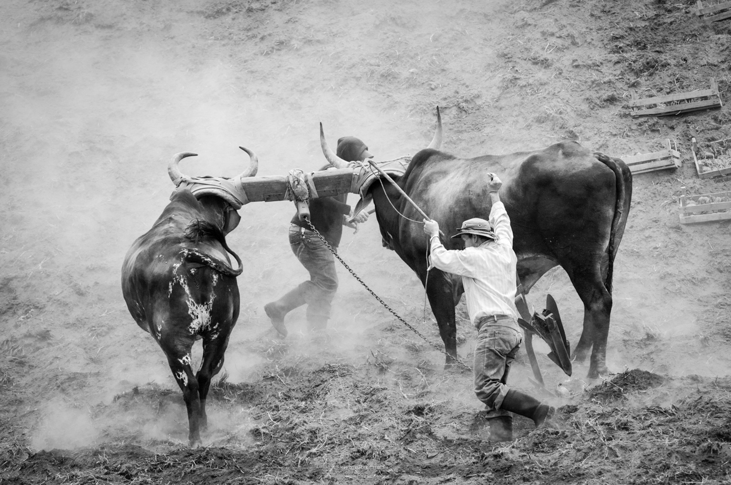 Решающий момент. Авторские стильные фотокартины