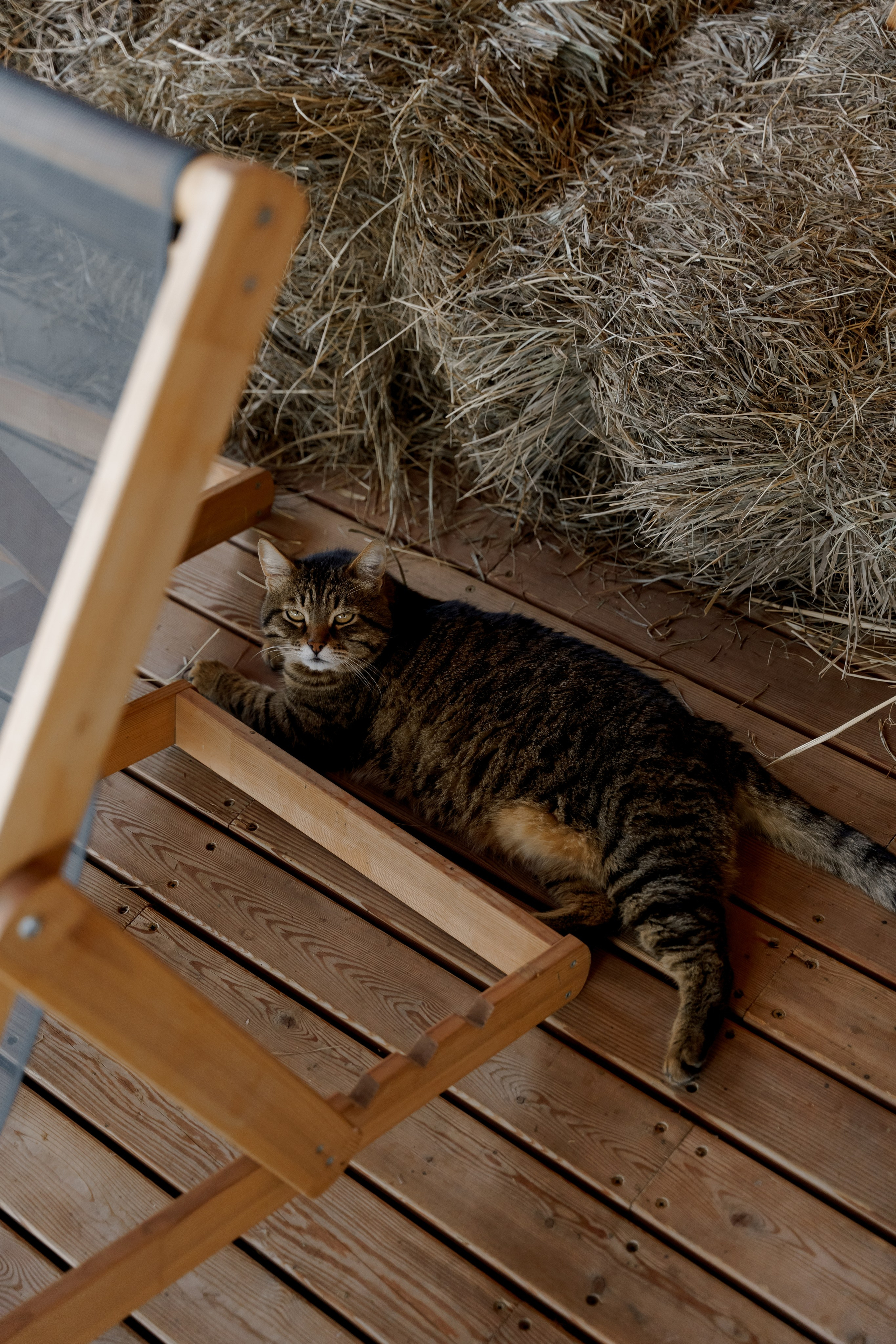 Surf 2025. Фотограф Валерия Крахмалева