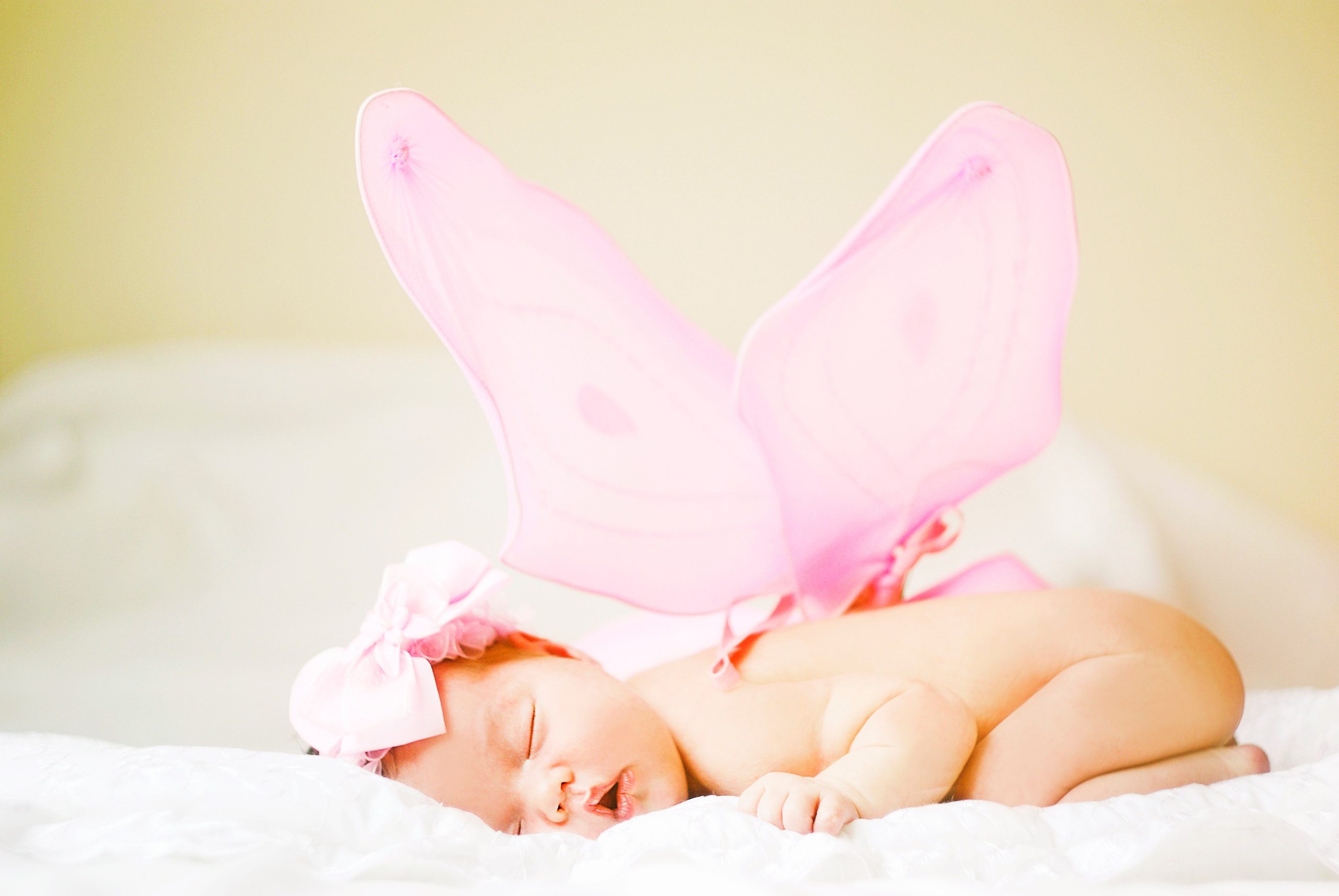 Семейная съемка и Love story. Главная