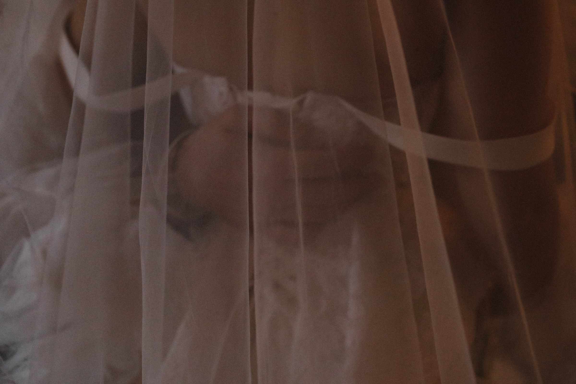 Свадьба в октябре. Семейный фотограф в Москве Алевтина Носова