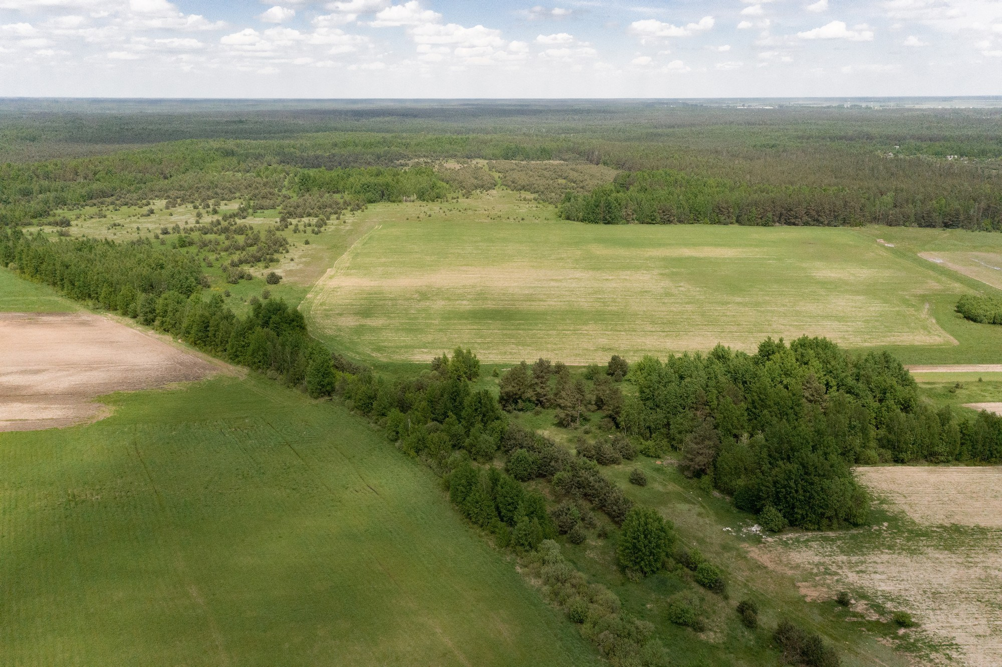 Home.land. Künstler Verstecktoff