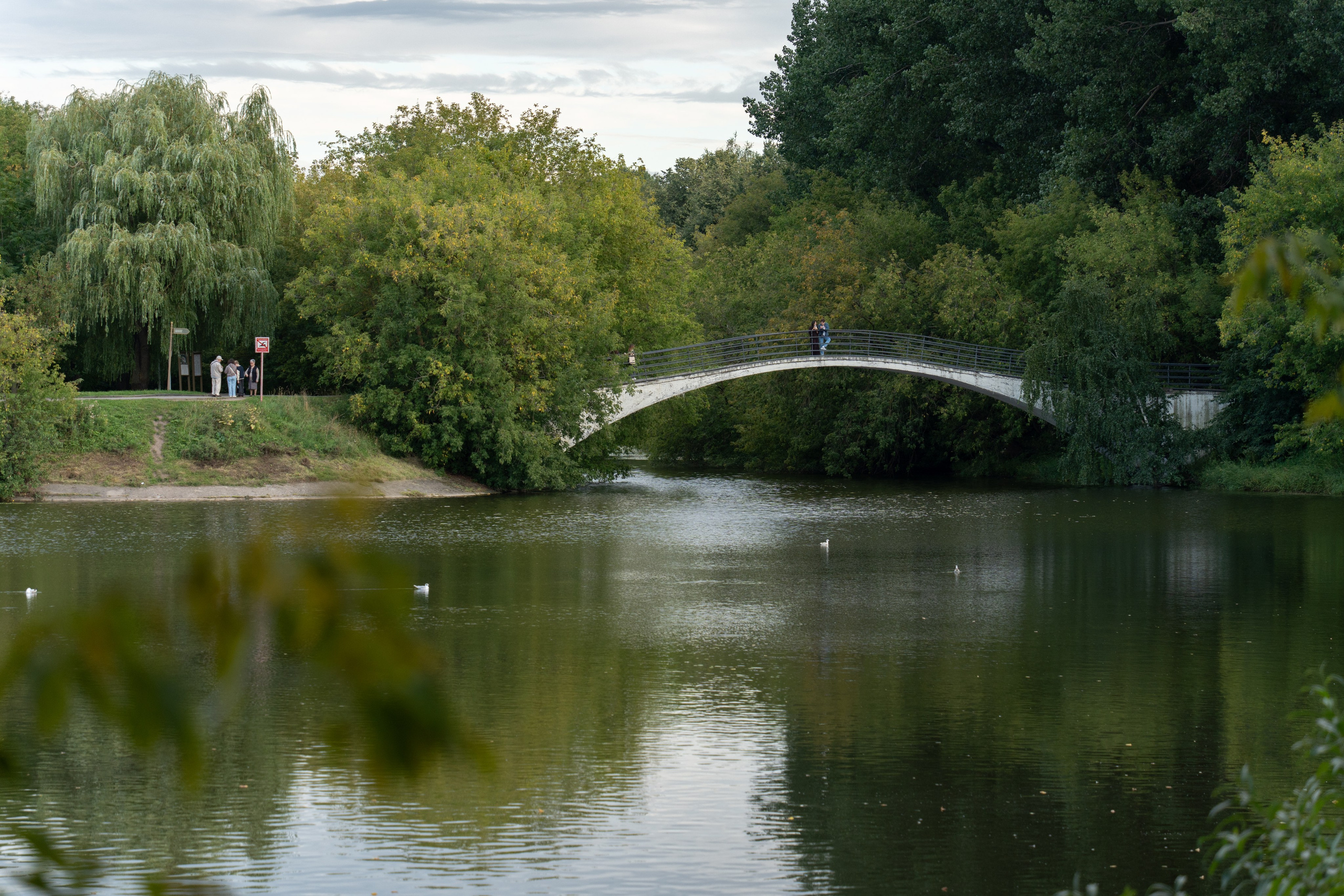 20250817 Измайлово. Дмитрий Ремизов. Фотография, как хобби